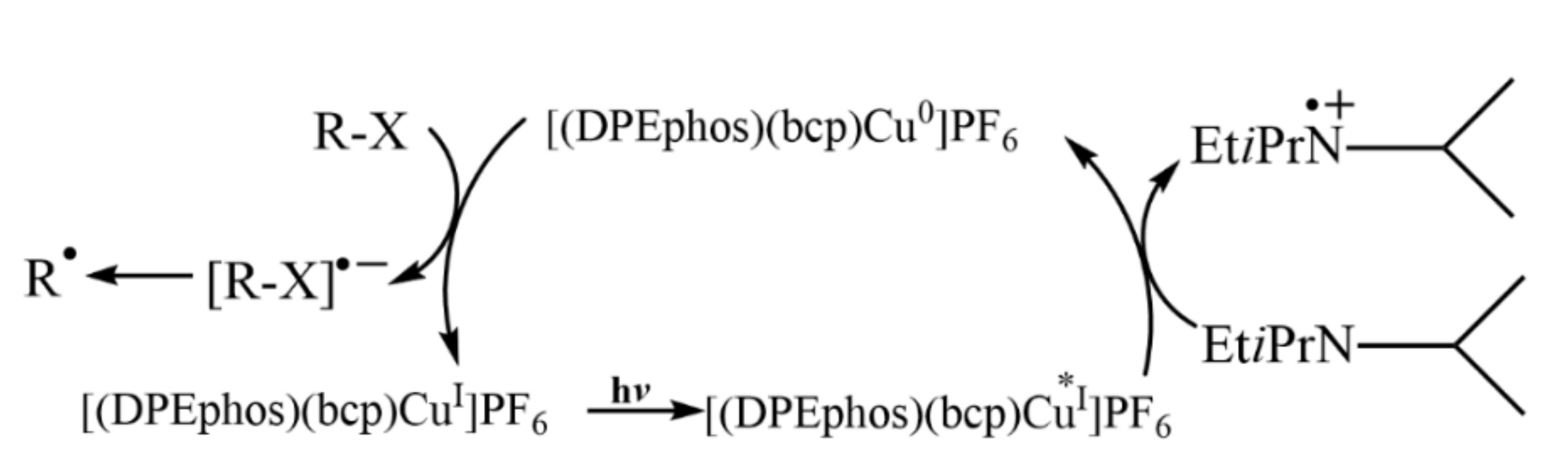 Molecules 27 05364 g004 550