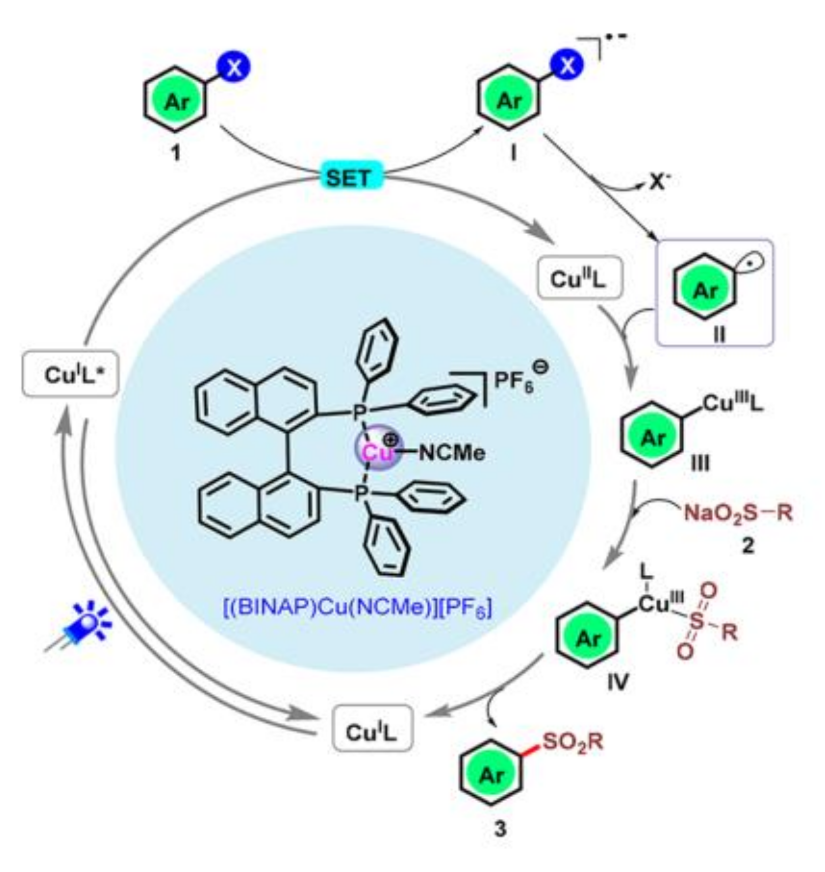 Molecules 27 05364 g005 550