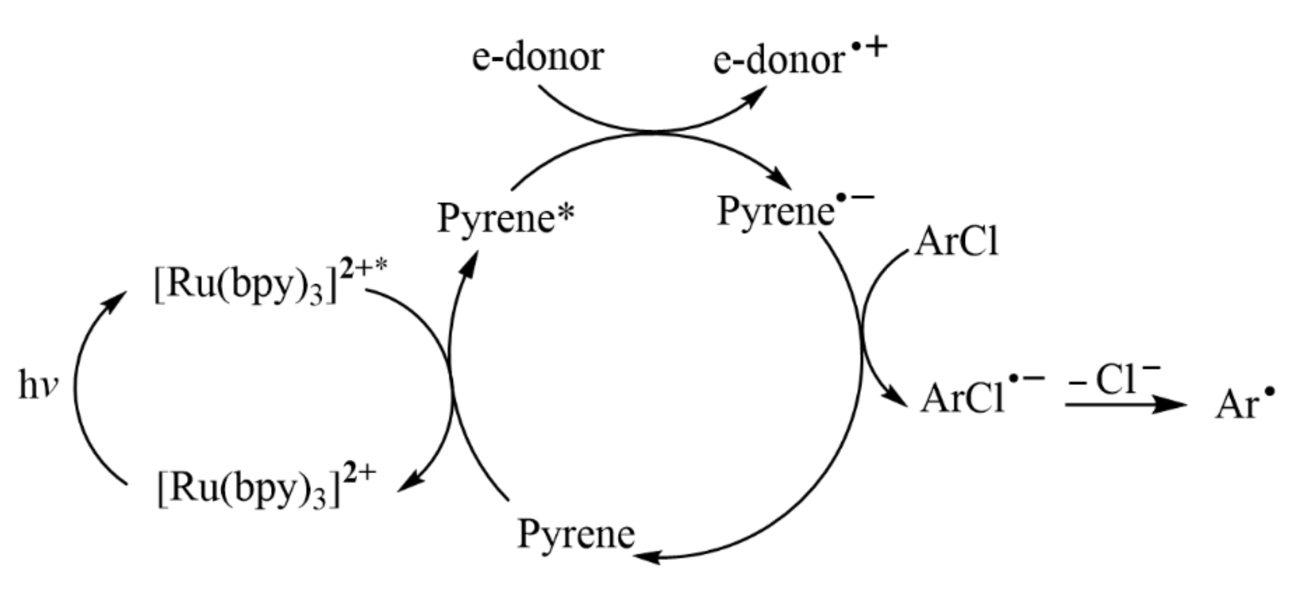 Molecules 27 05364 g007 550