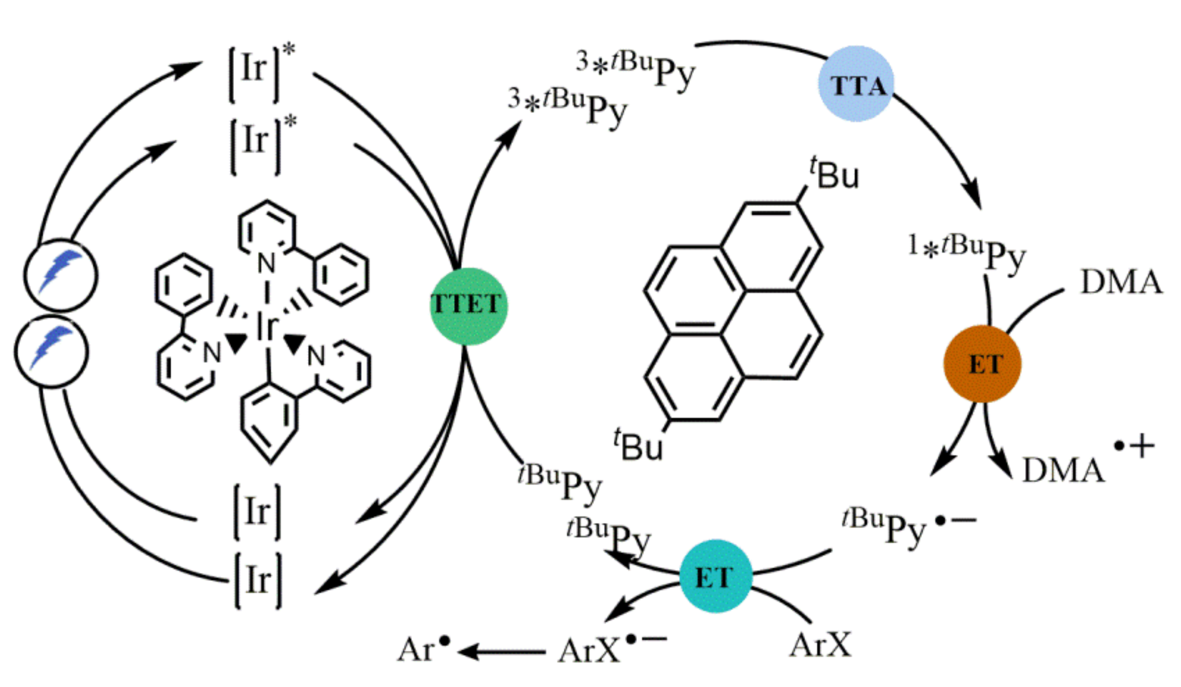 Molecules 27 05364 g008 550