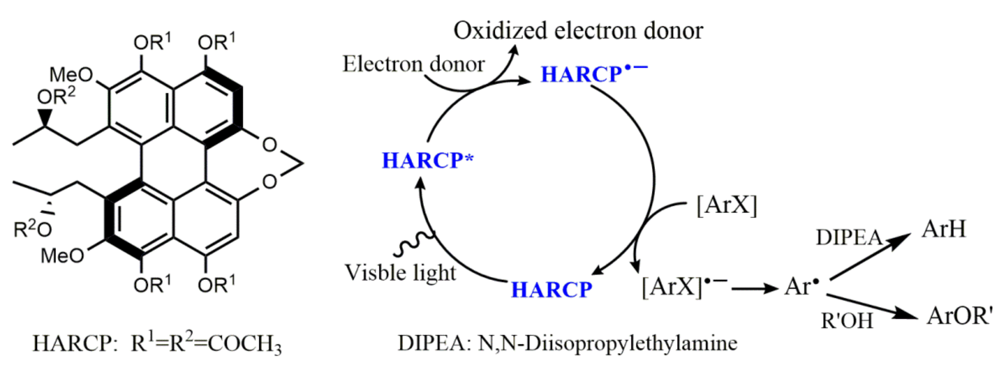 Molecules 27 05364 g010 550