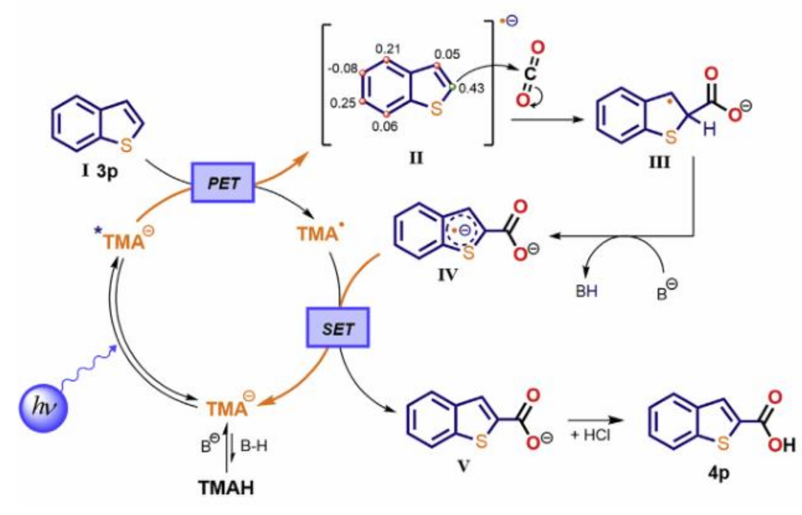 Molecules 27 05364 g011 550