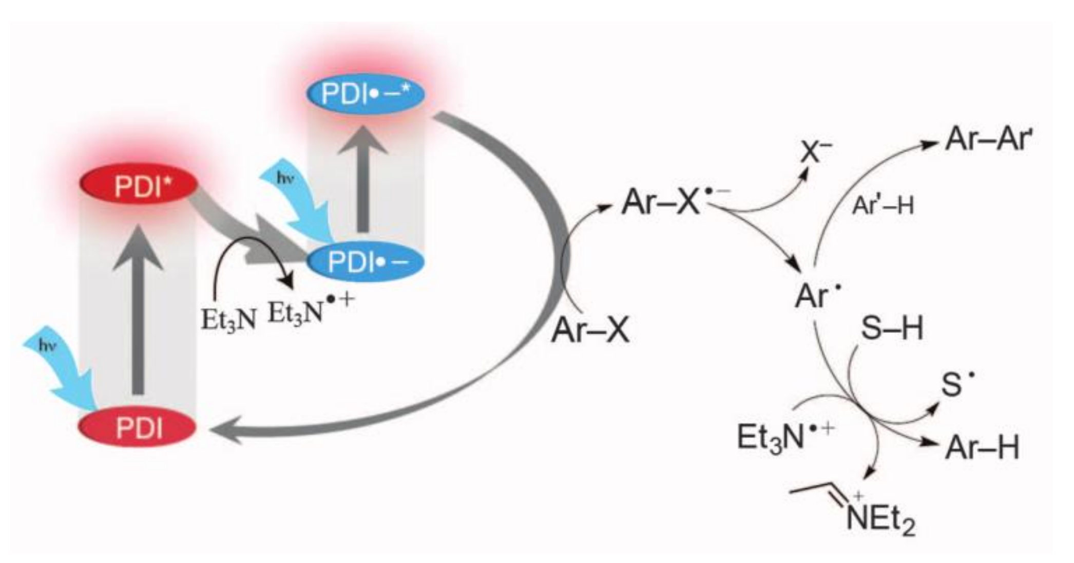Molecules 27 05364 g017 550