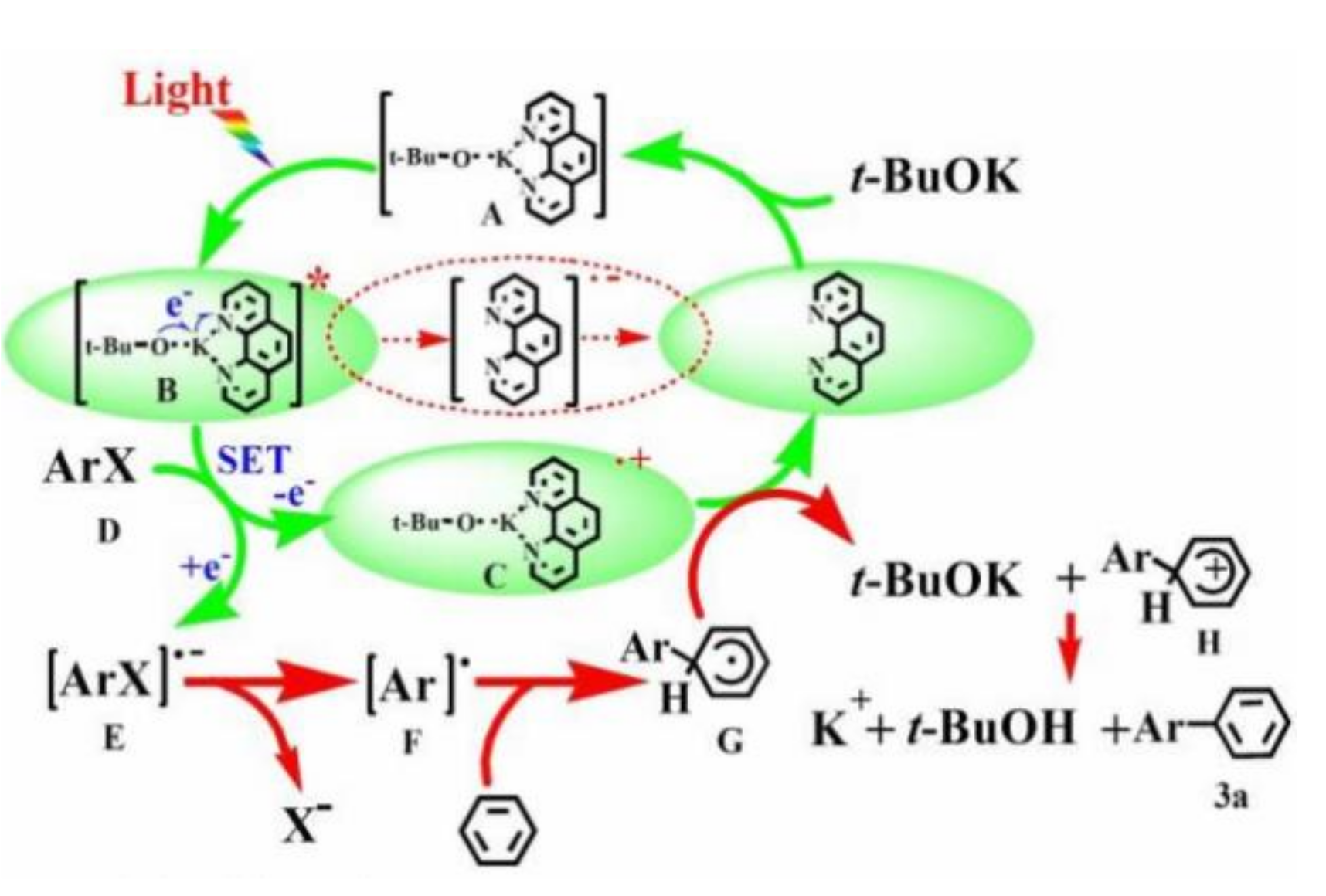 Molecules 27 05364 g020 550