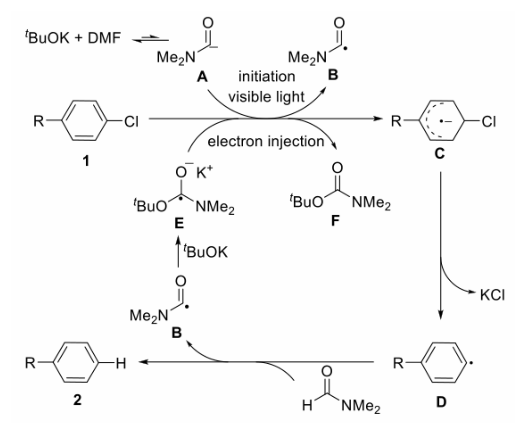 Molecules 27 05364 g022 550