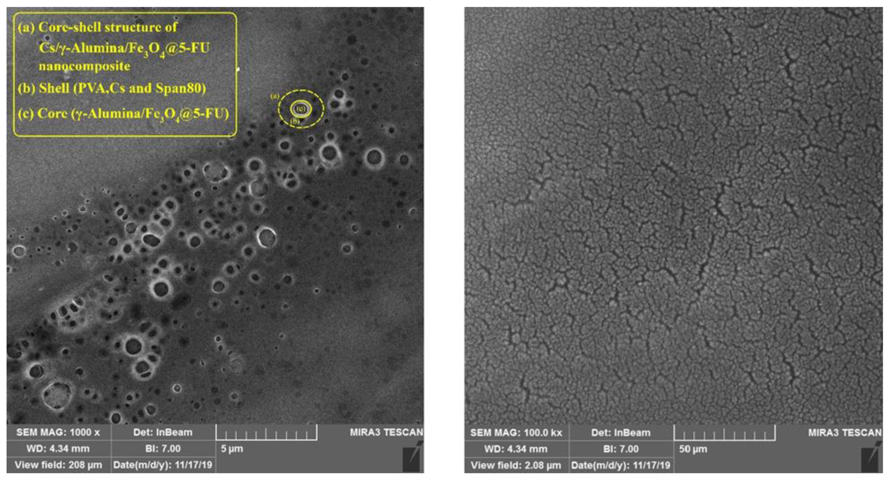 Molecules 27 05369 g003 Molecules 27 05369 g003