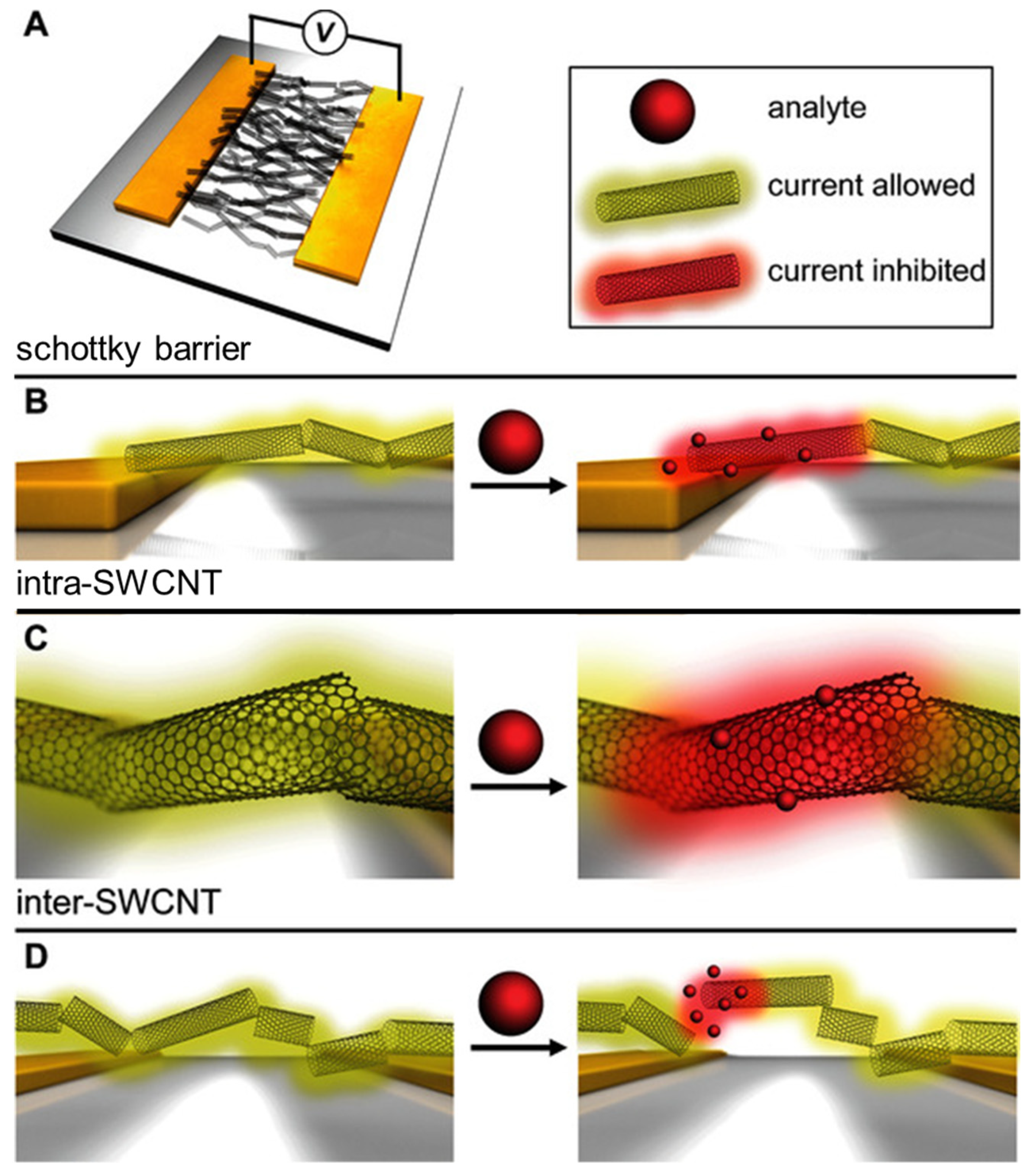 Molecules 27 05381 g004