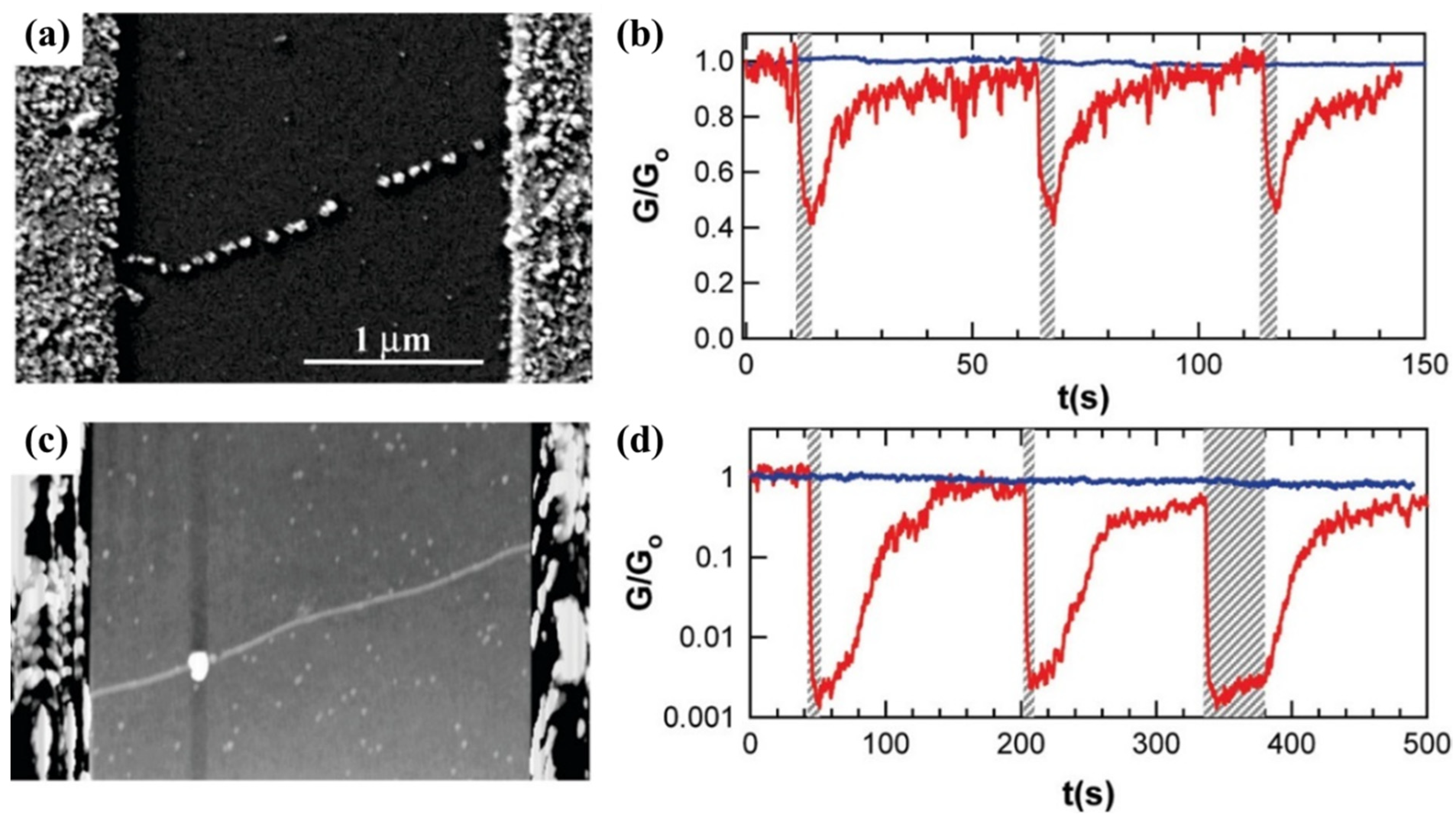 Molecules 27 05381 g012