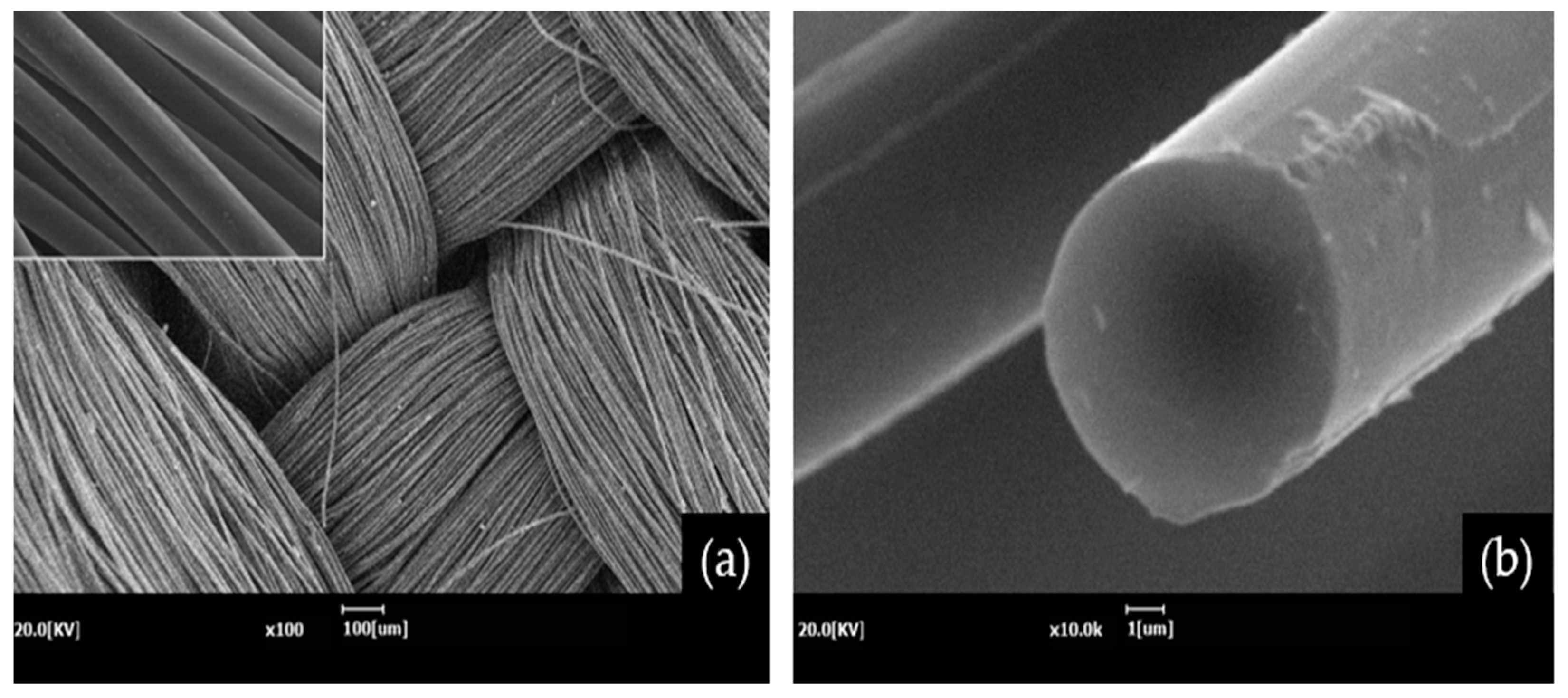 Molecules 27 05392 g005