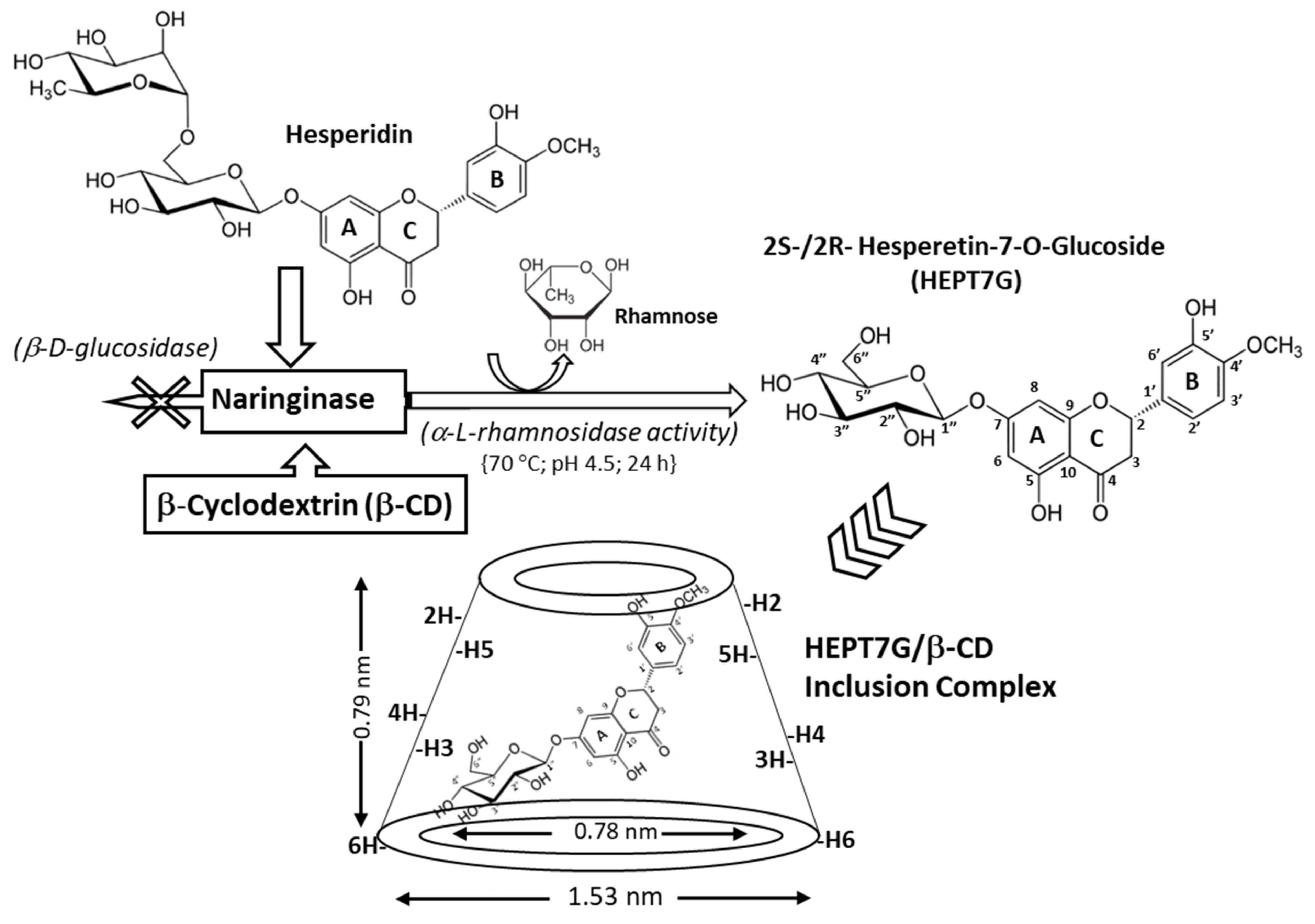 Molecules 27 05395 g001