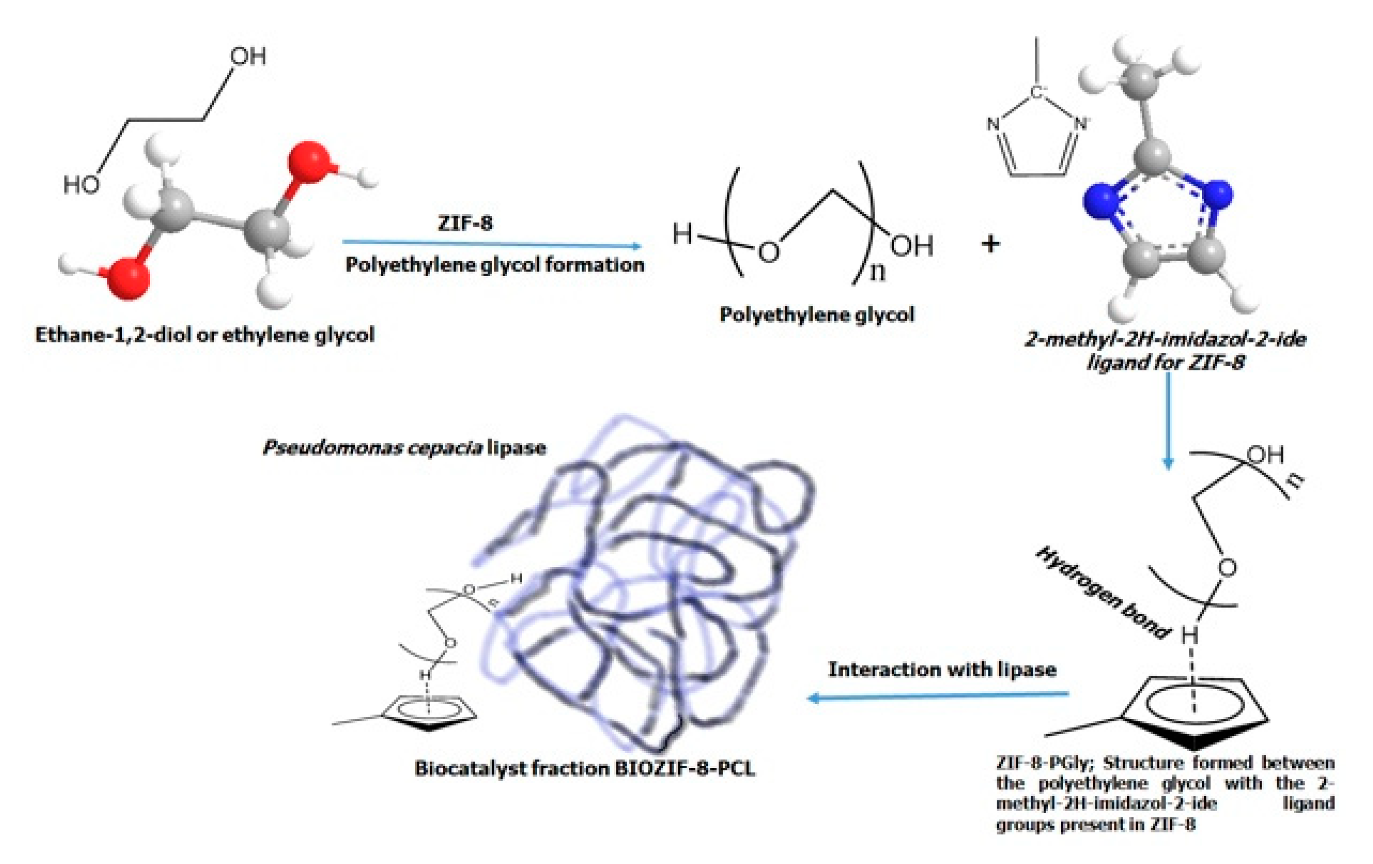 Molecules 27 05396 g010 550