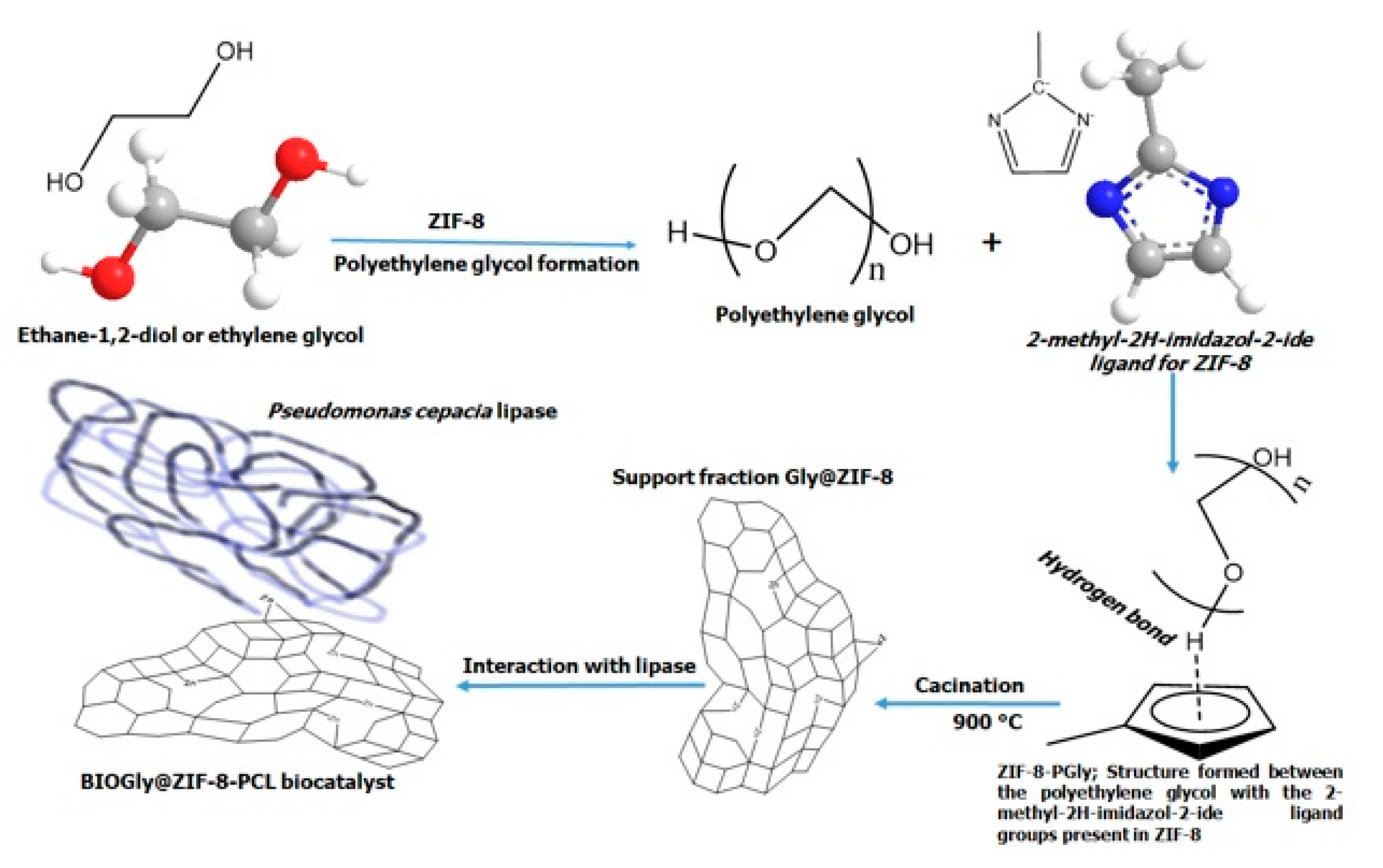 Molecules 27 05396 g011 550