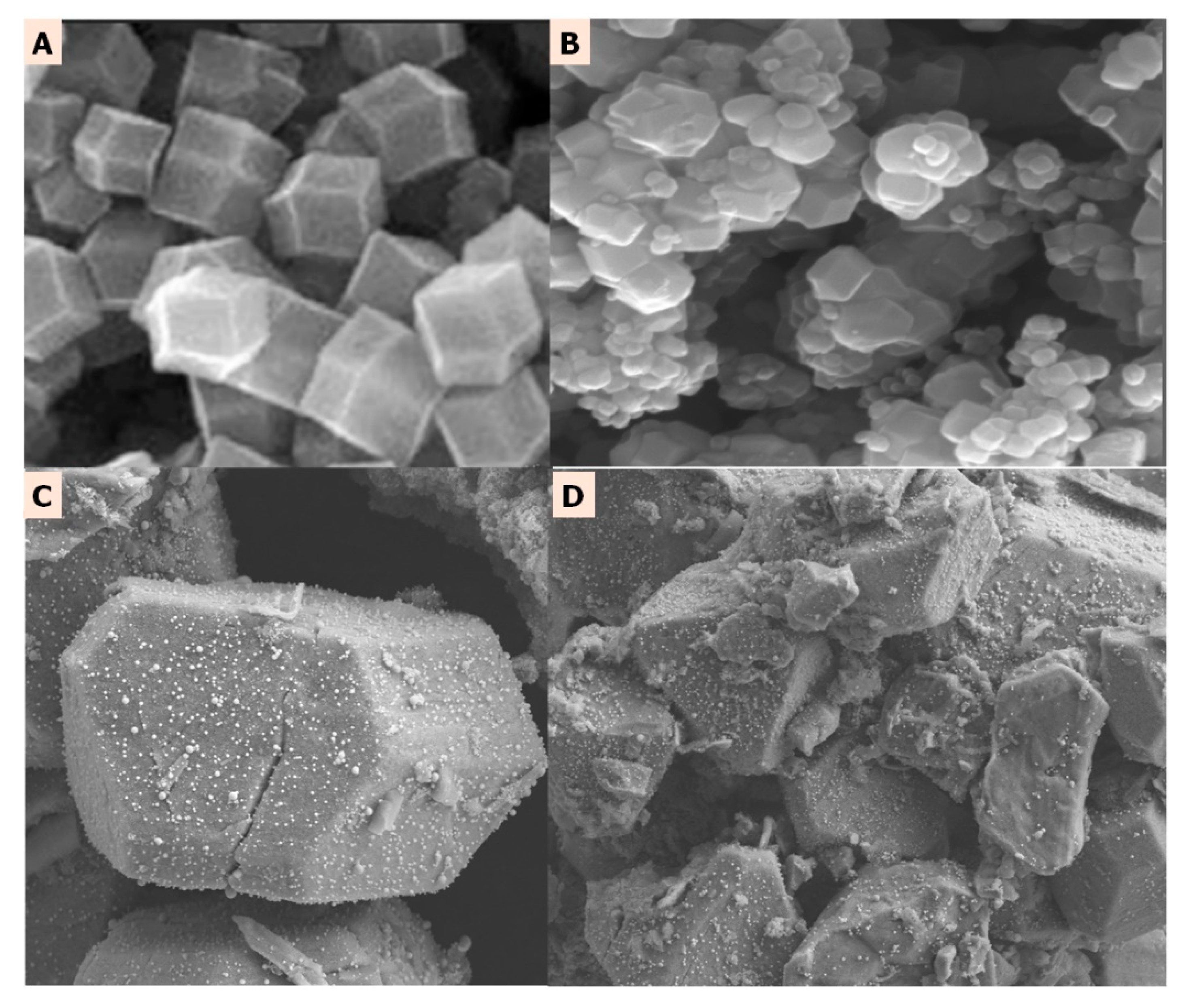 Molecules 27 05396 g012 550