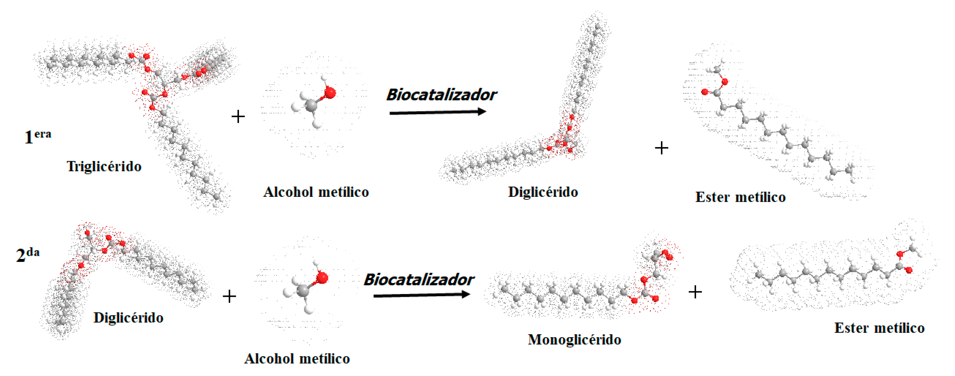Molecules 27 05396 g013 550