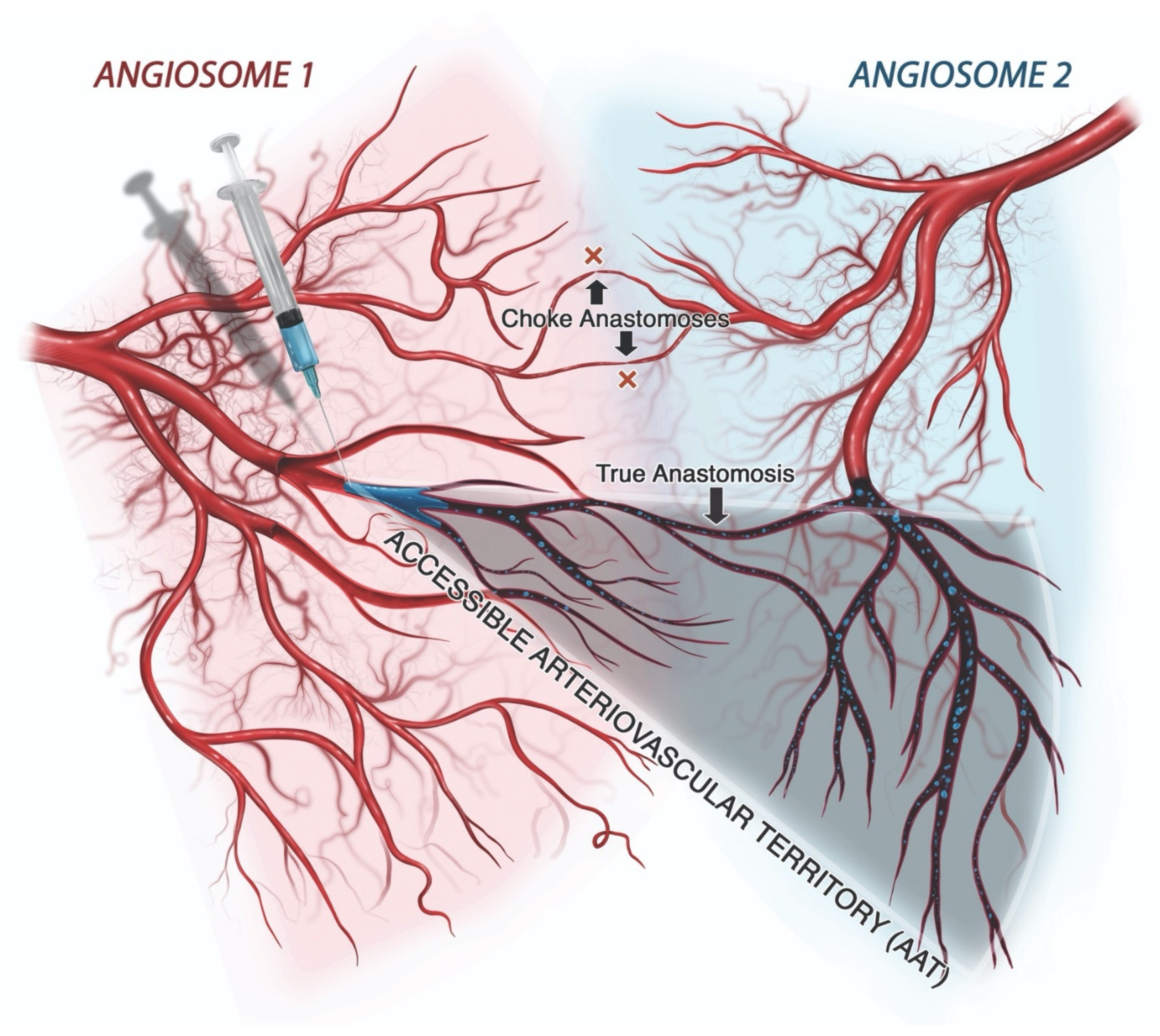 Molecules 27 05398 g012