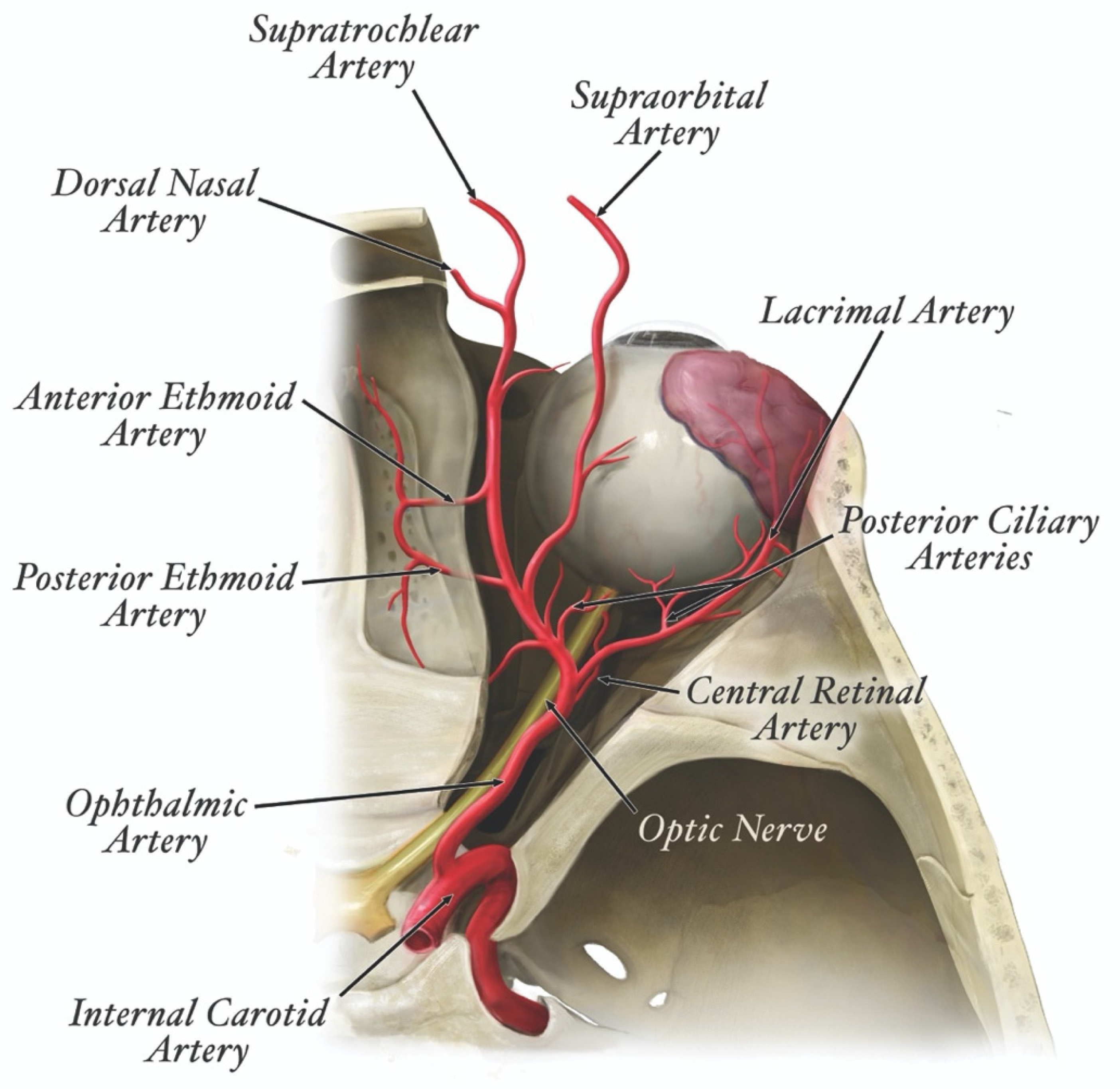 Molecules 27 05398 g015