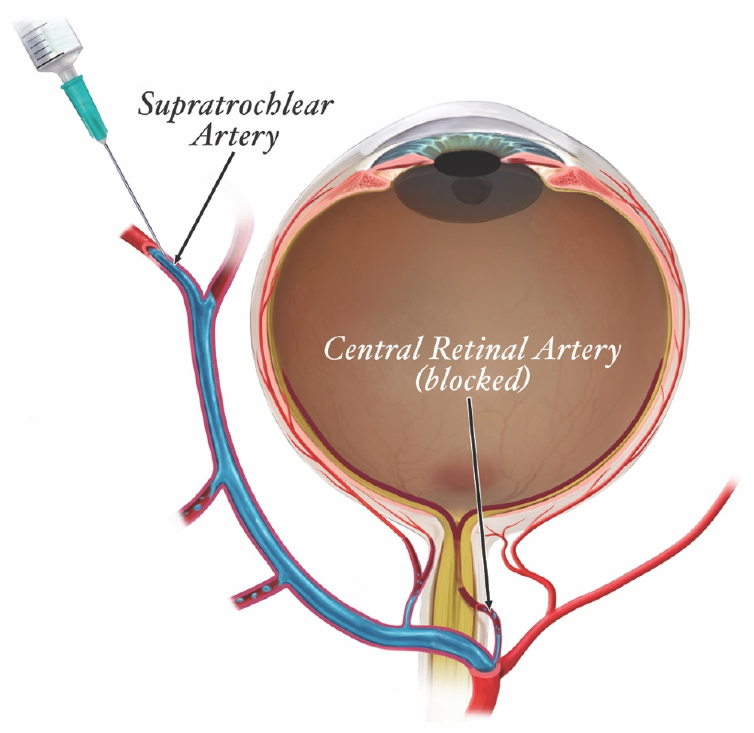 Molecules 27 05398 g016