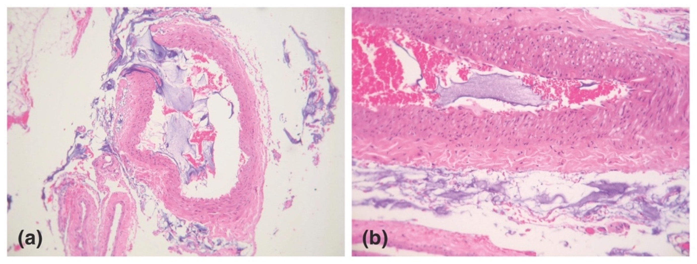 Molecules 27 05398 g017