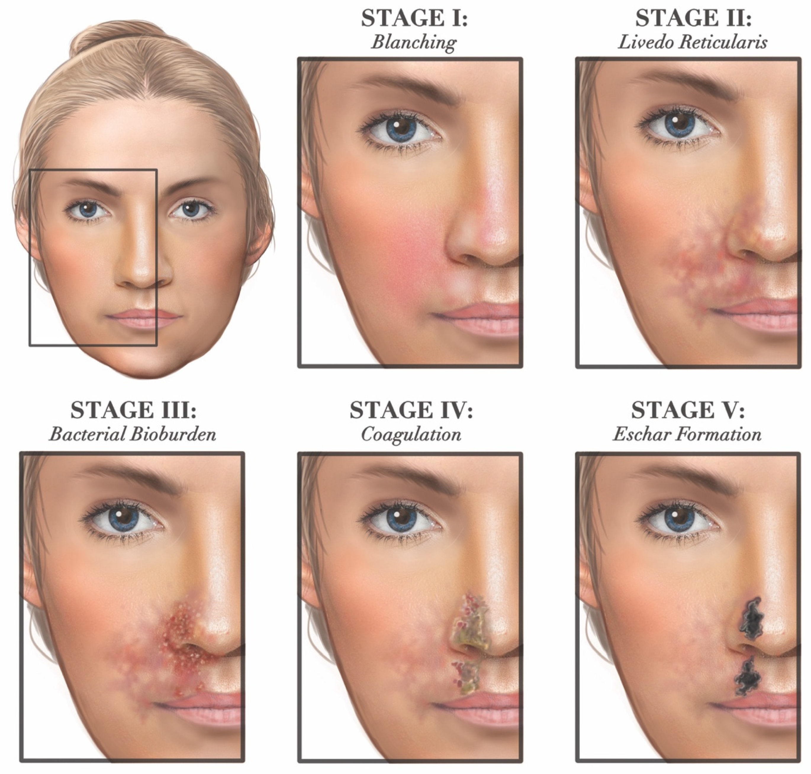 Molecules 27 05398 g018