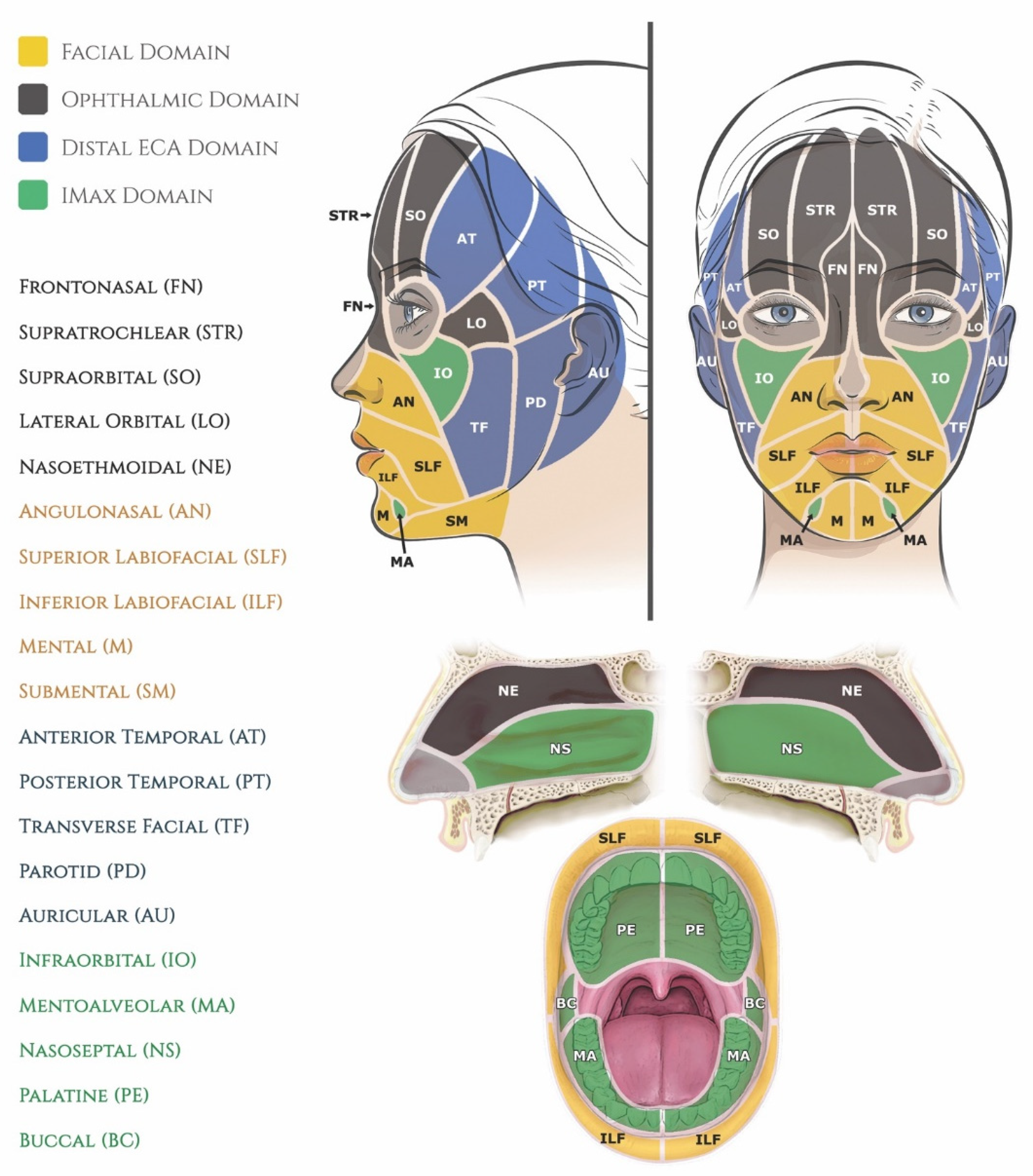 Molecules 27 05398 g020