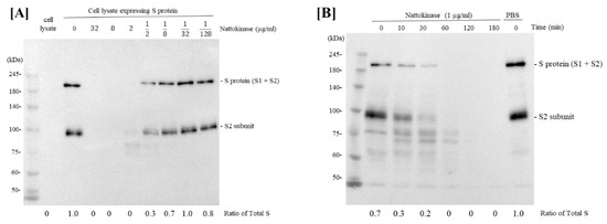 Molécules 27 05405 g001a 550