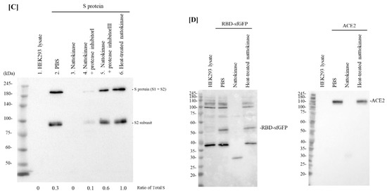 Molecules 27 05405 g001b 550