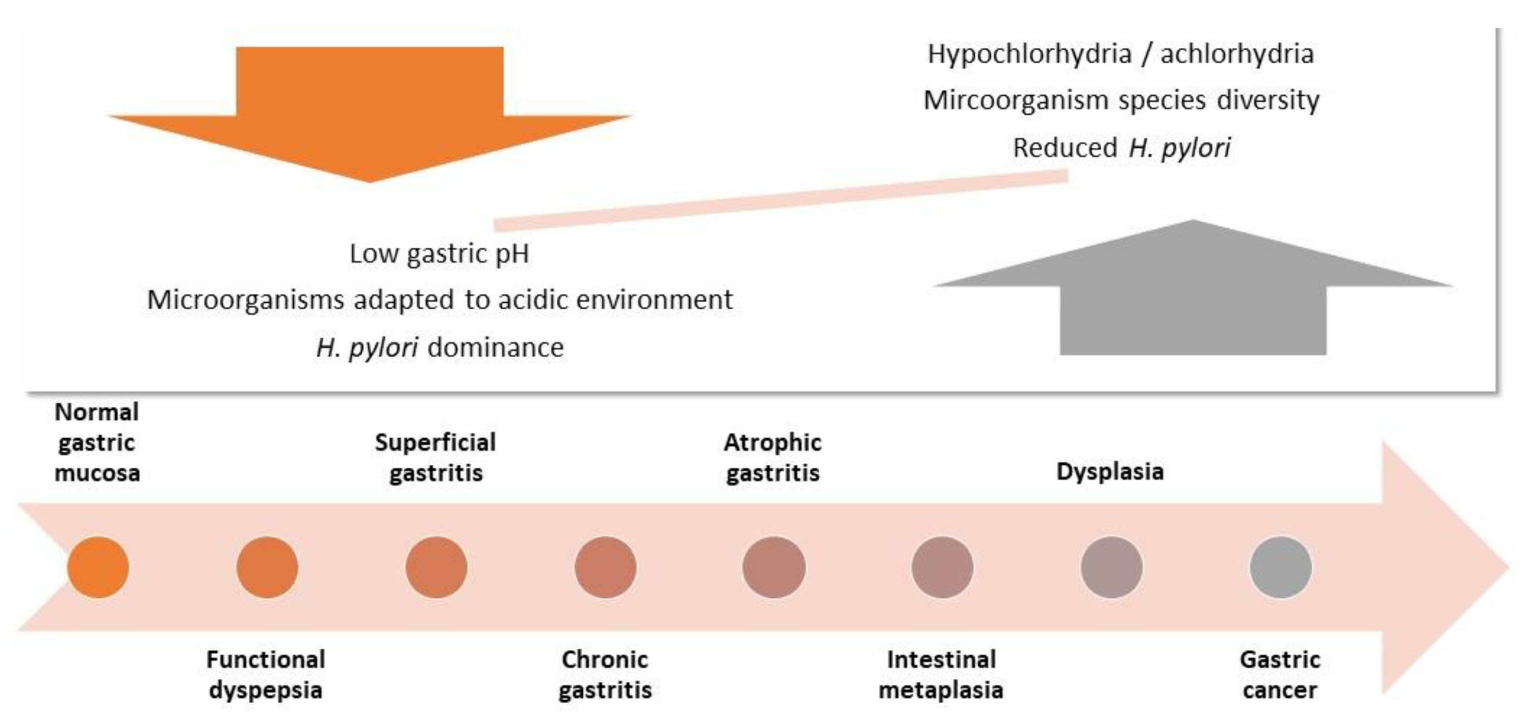 Molecules 27 05410 g001