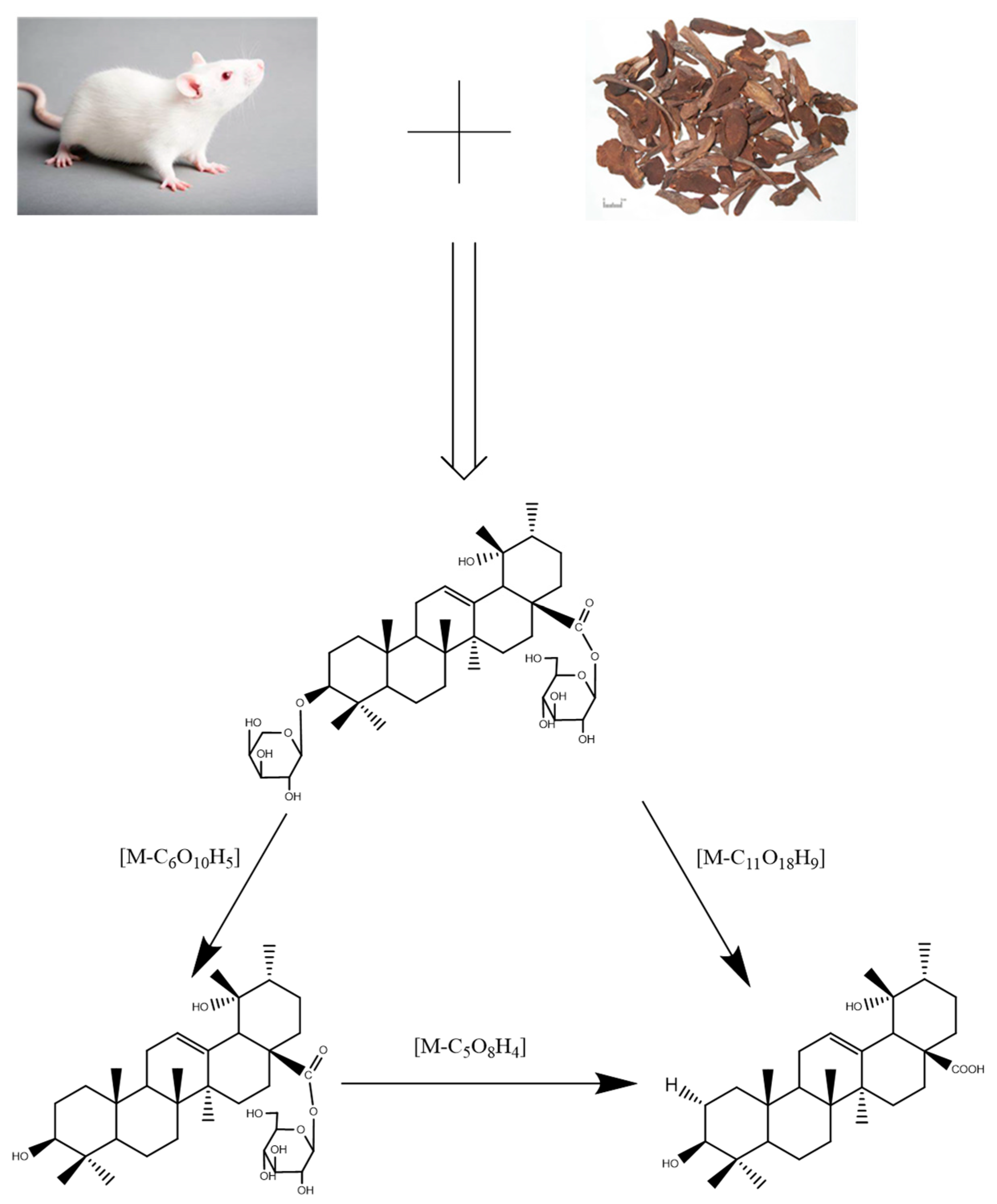 Molecules 27 05412 g005