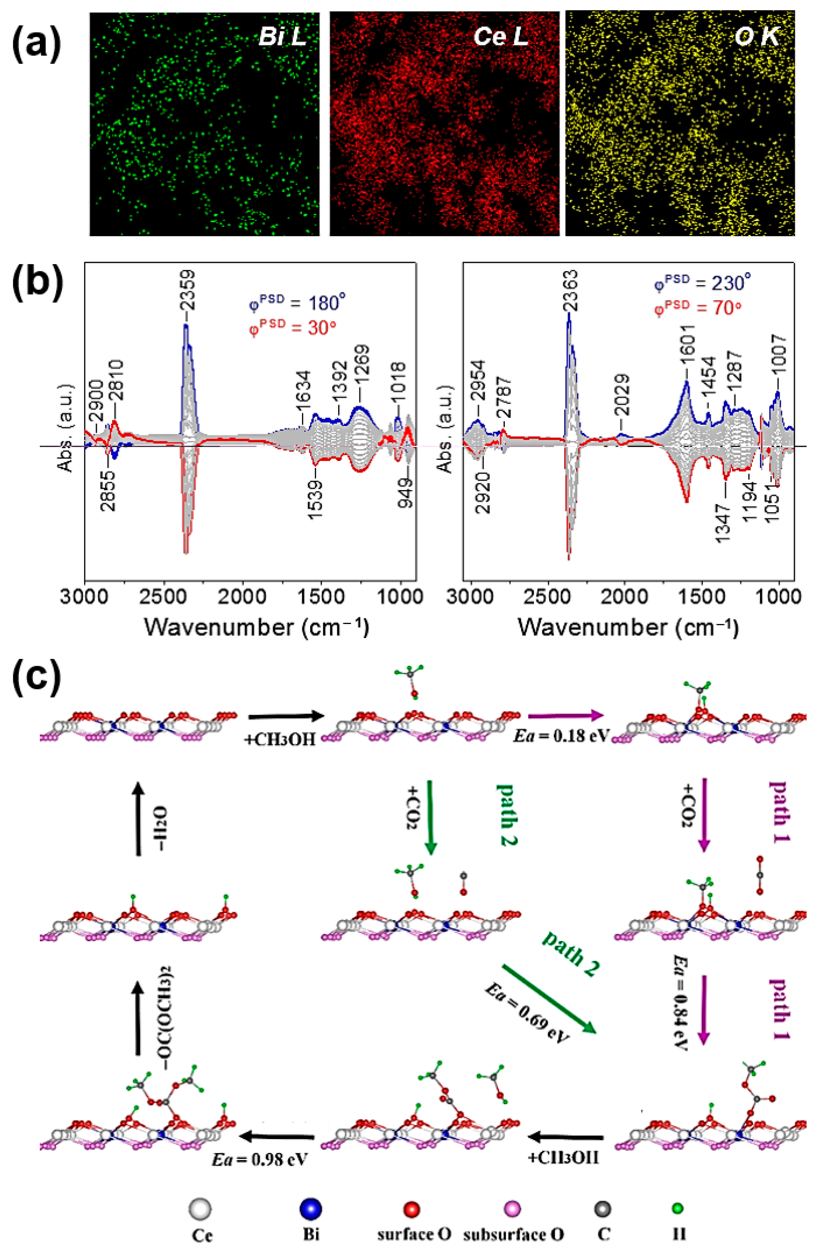 Molecules 27 05417 g004