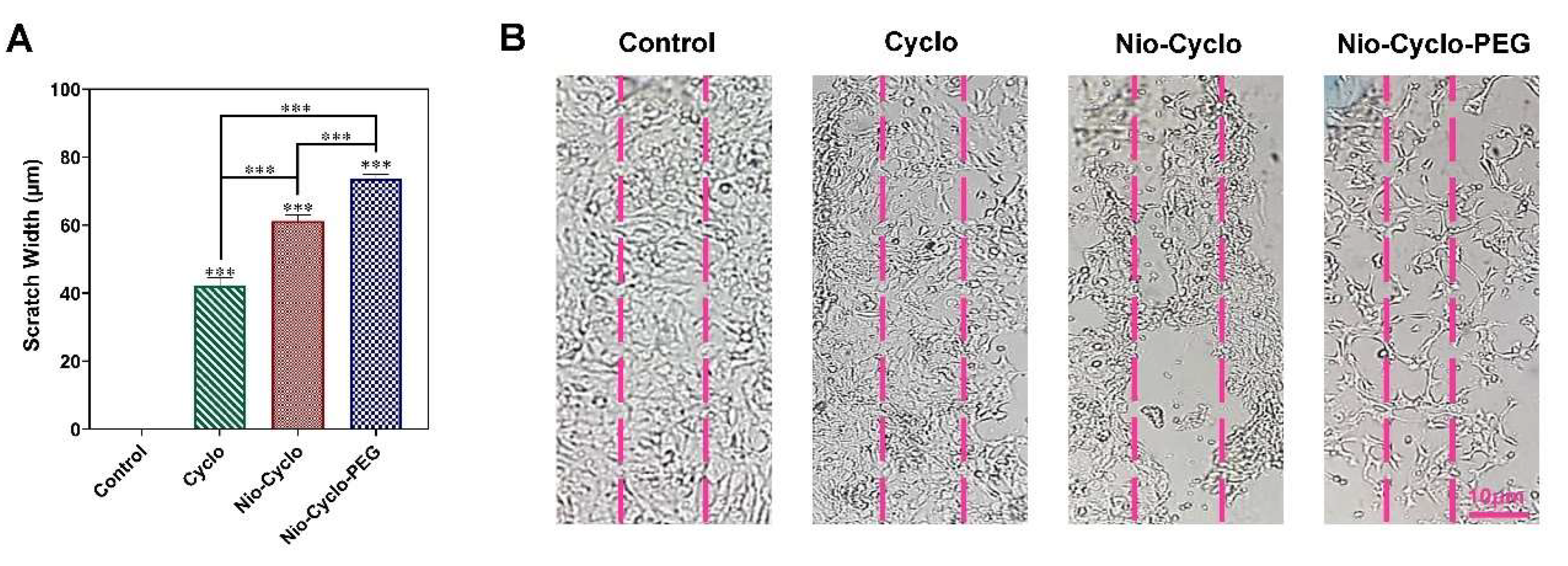 Molecules 27 05418 g008 550