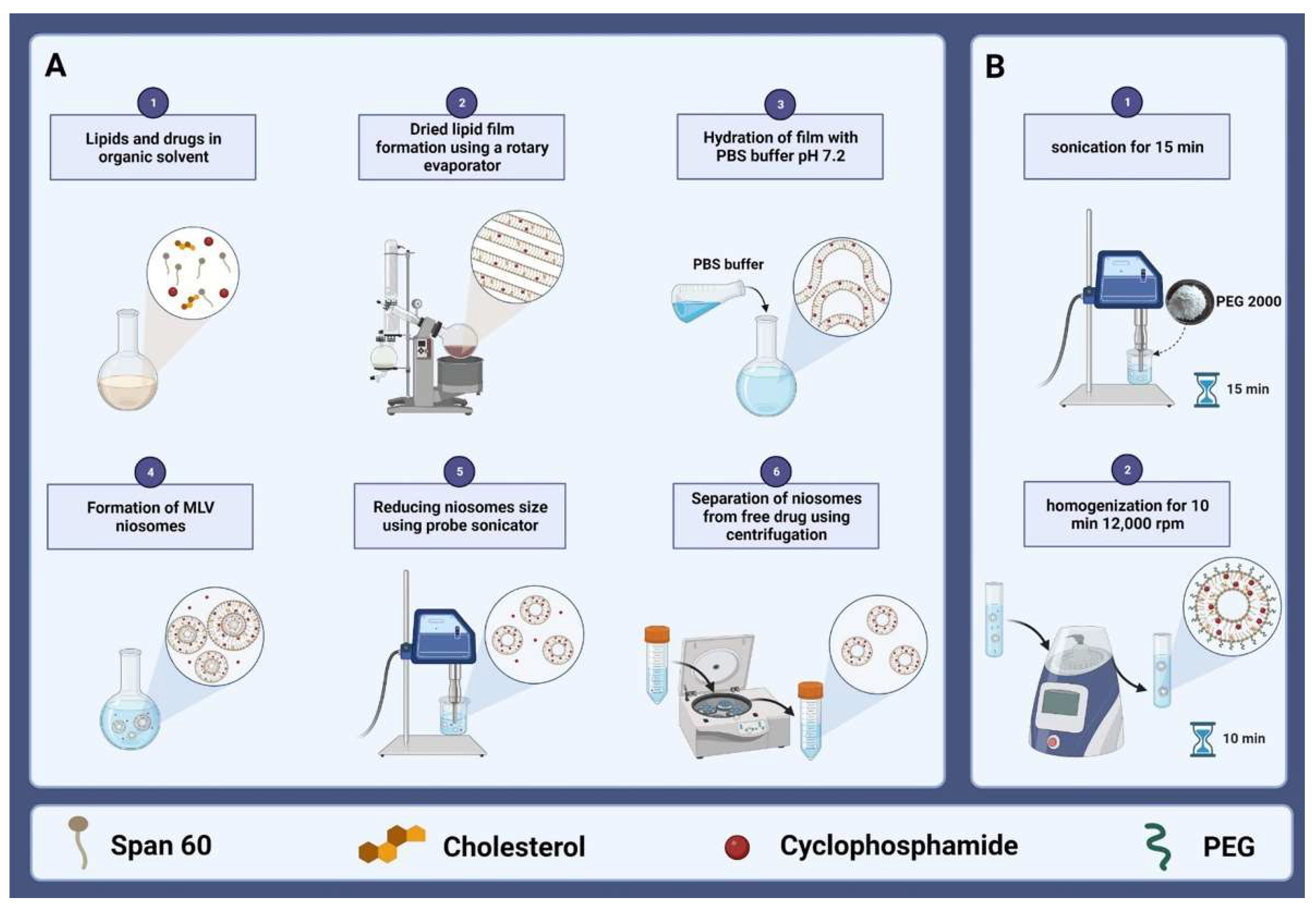Molecules 27 05418 sch001 550