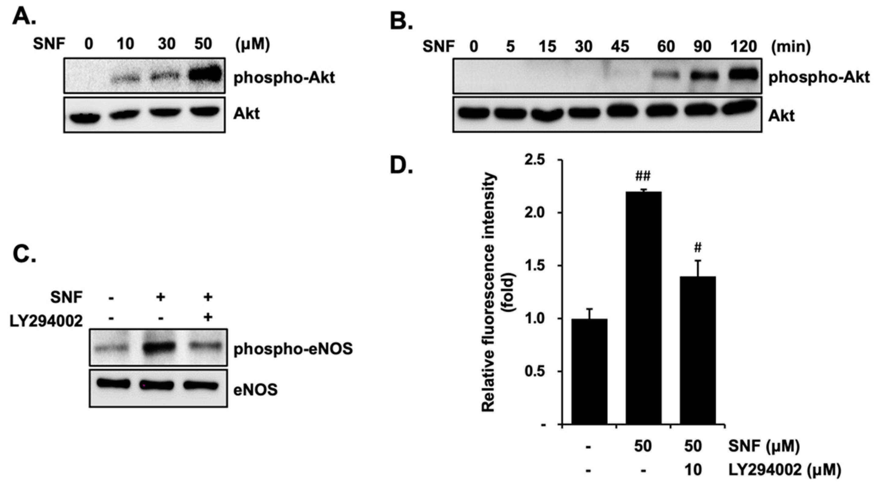 Molecules 27 05422 g004