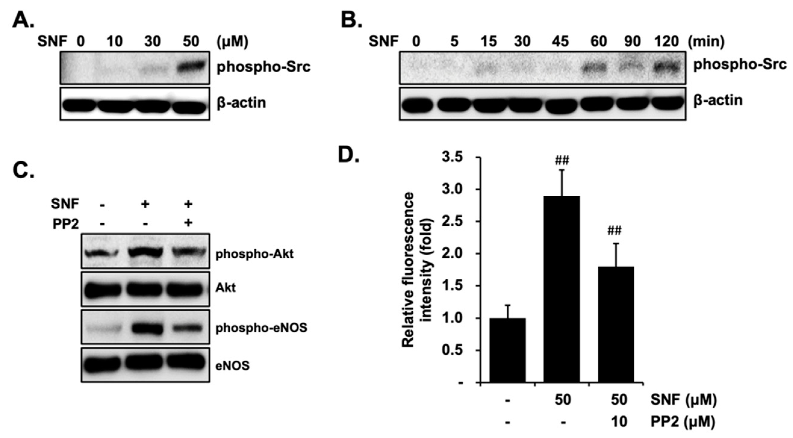Molecules 27 05422 g005