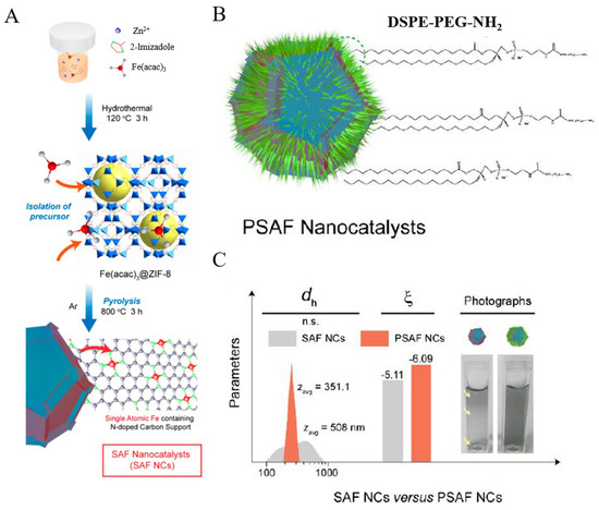 Single-Atom Nanozymes: Fabrication, Characterization, Surface