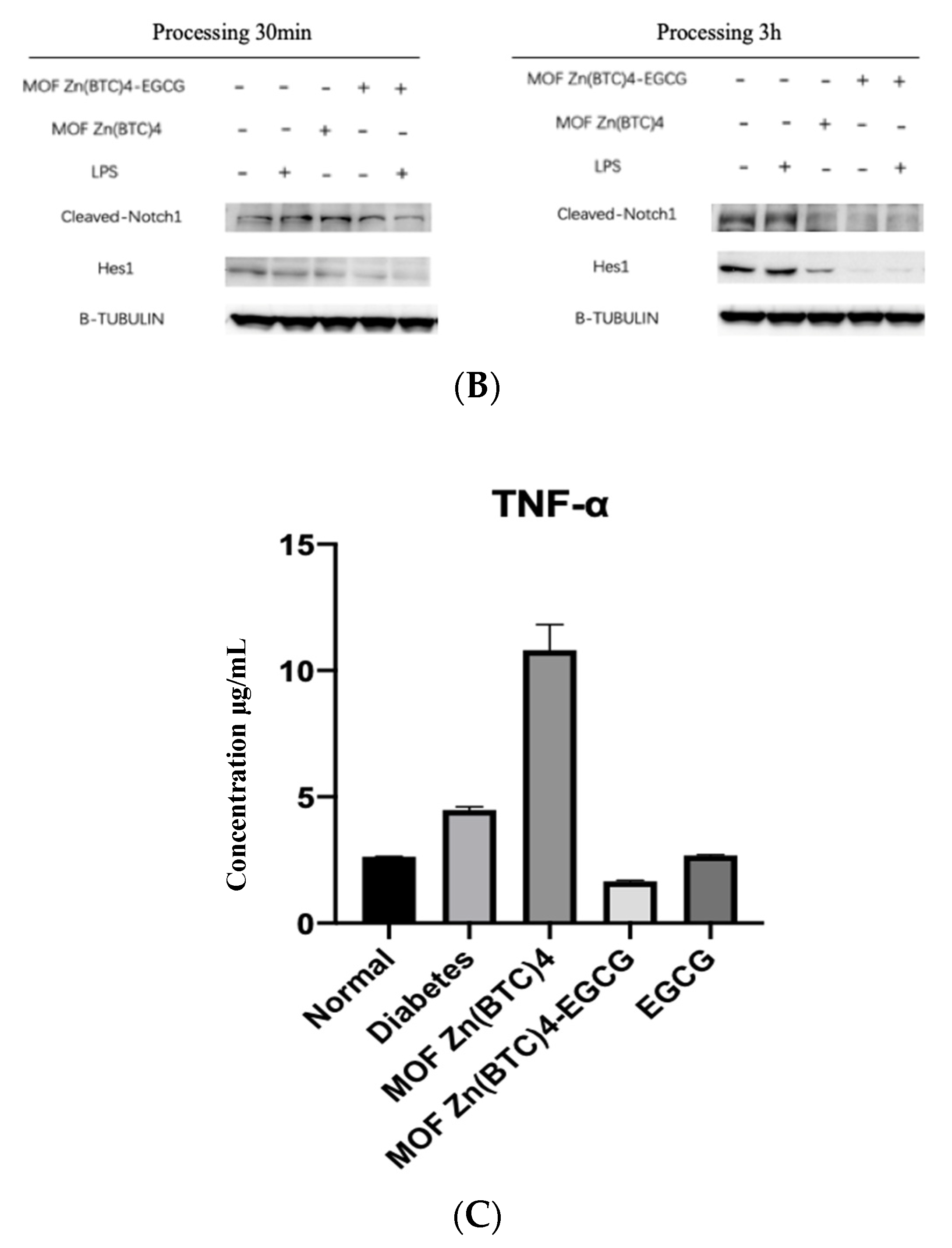 Molecules 27 05427 g007b 550