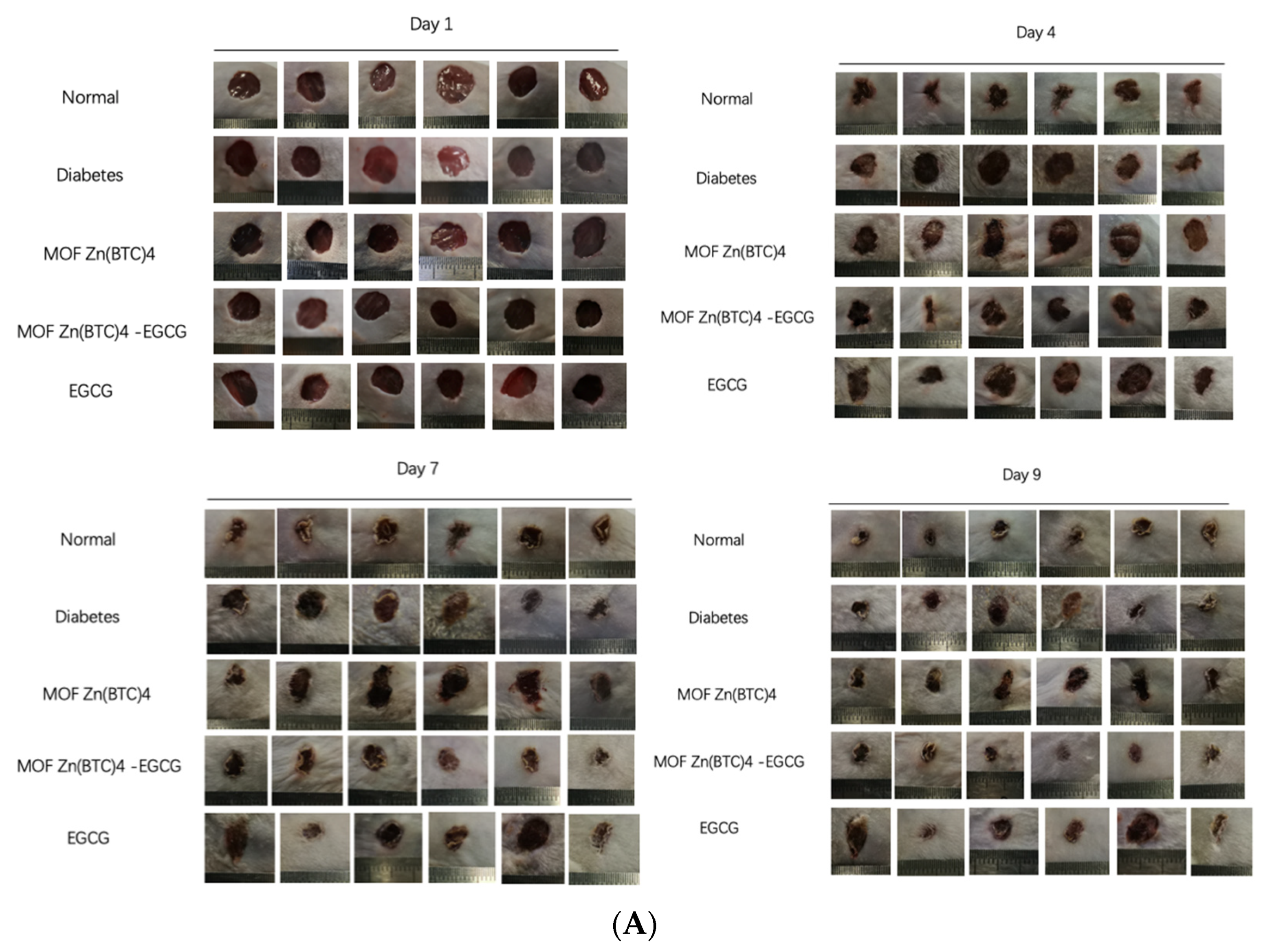 Molecules 27 05427 g008a 550