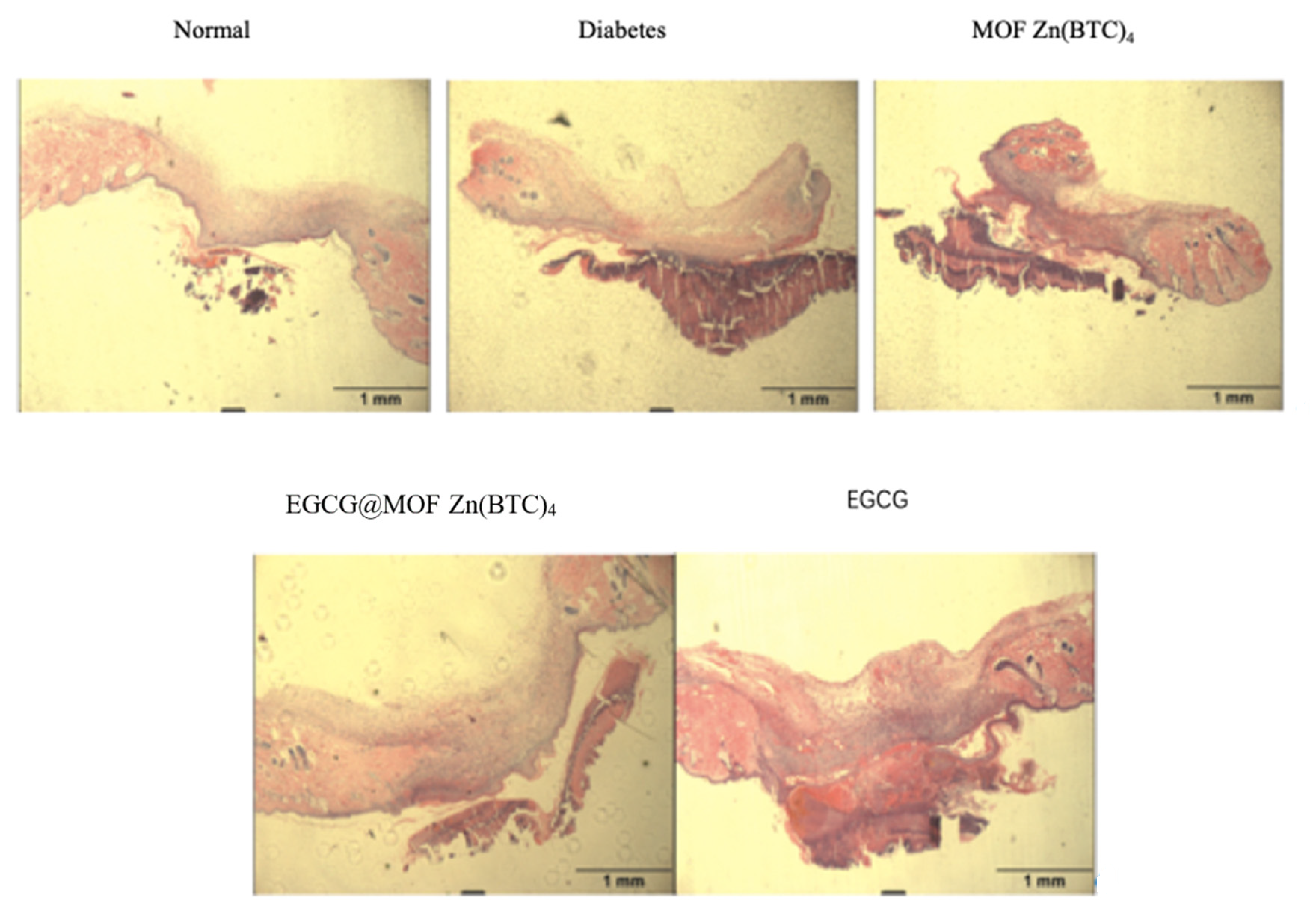 Molecules 27 05427 g010 550