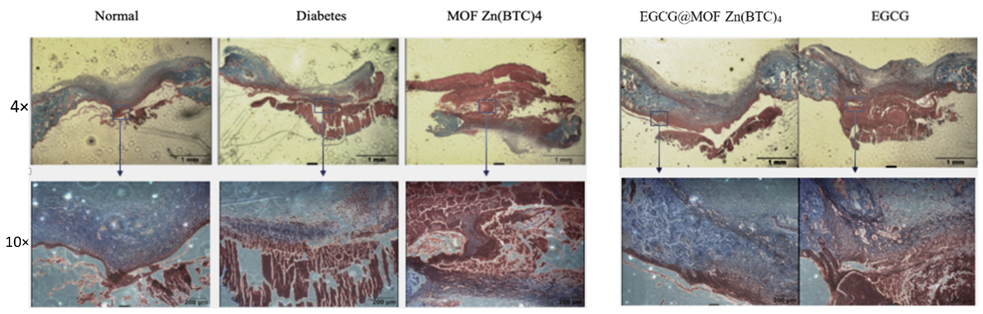 Molecules 27 05427 g011 550
