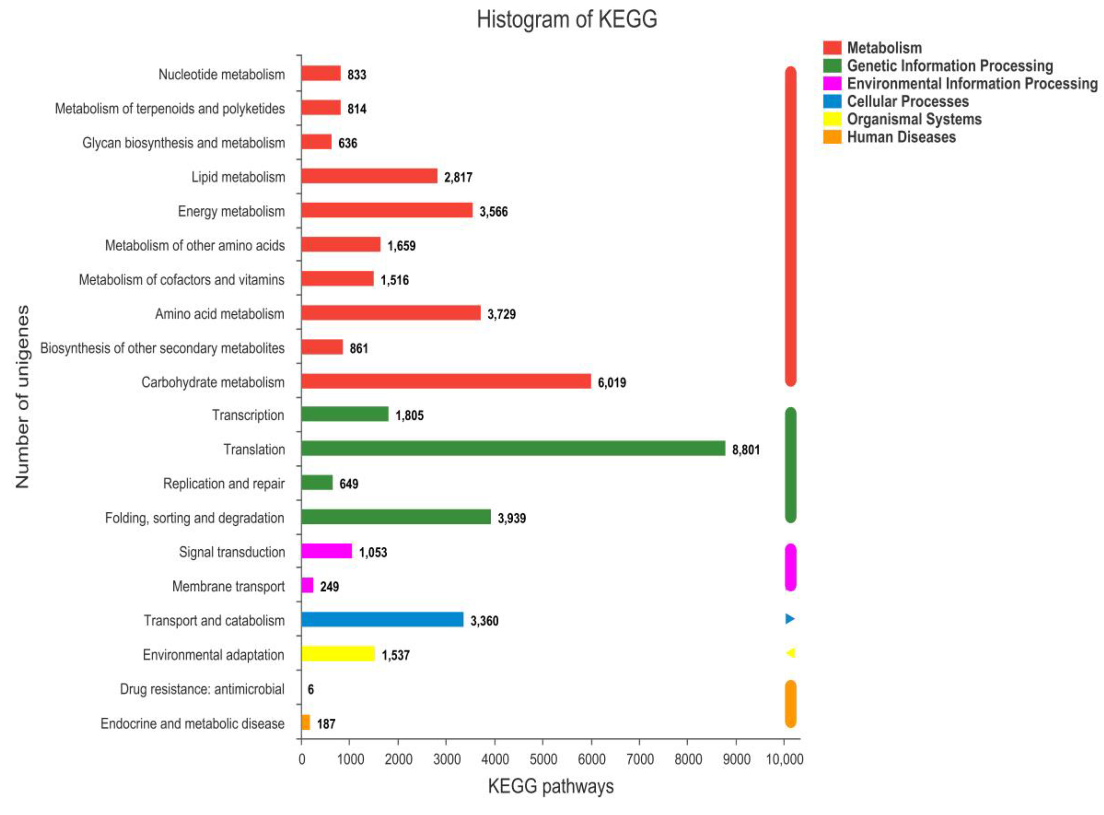 Molecules 27 05433 g002