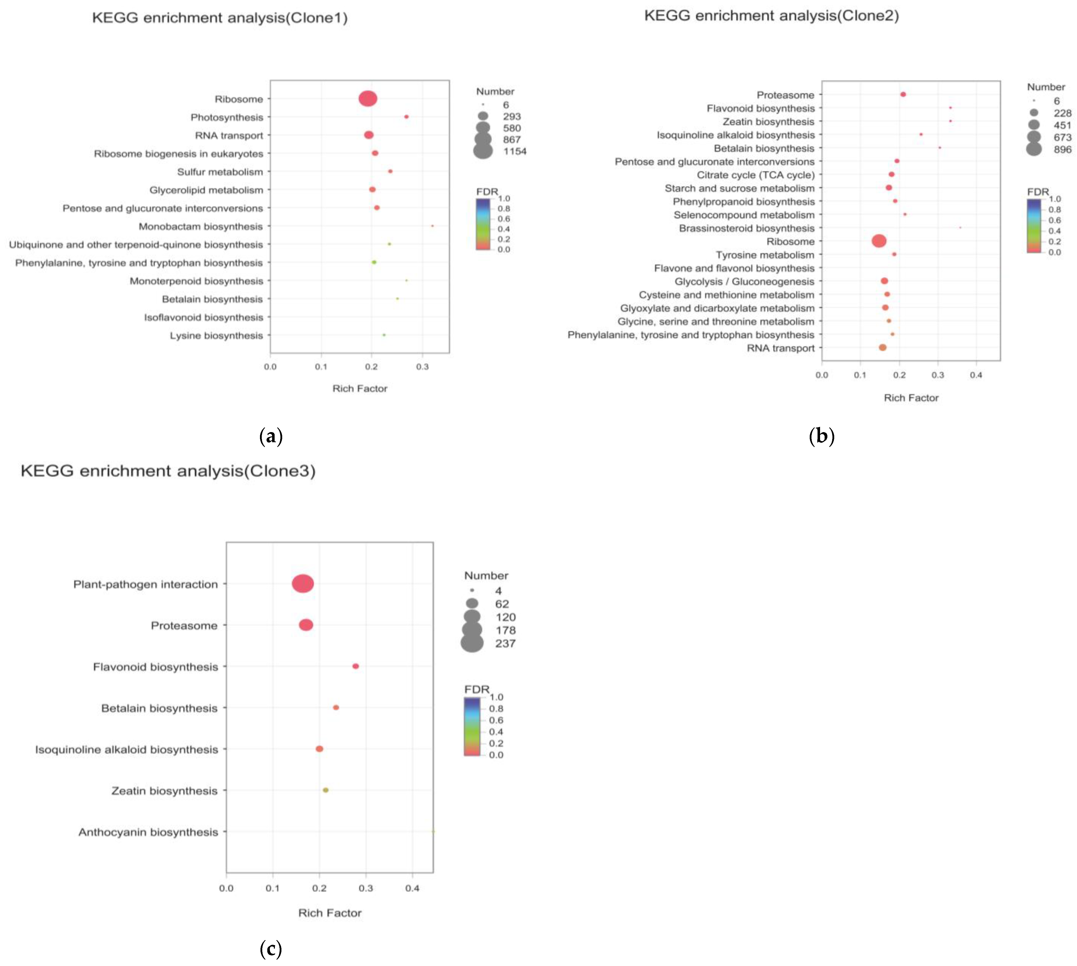 Molecules 27 05433 g004
