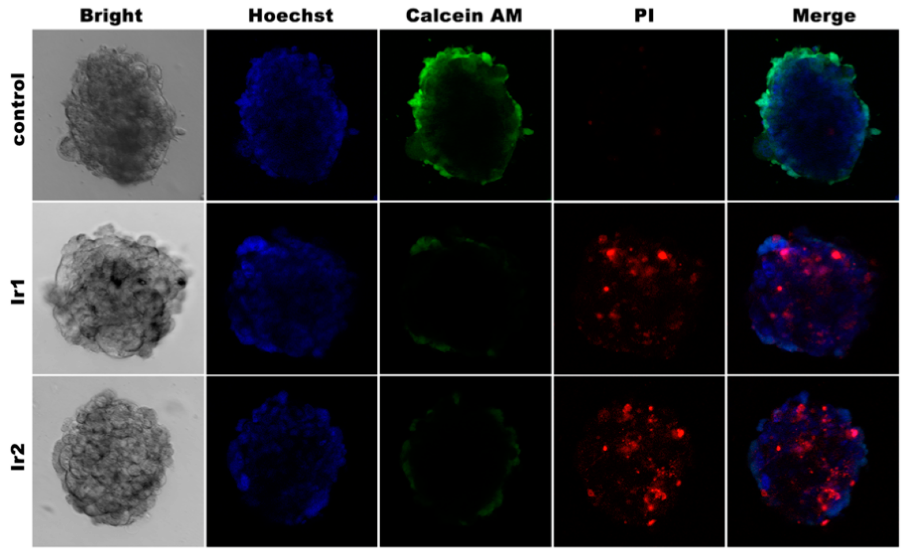 Molecules 27 05434 g004