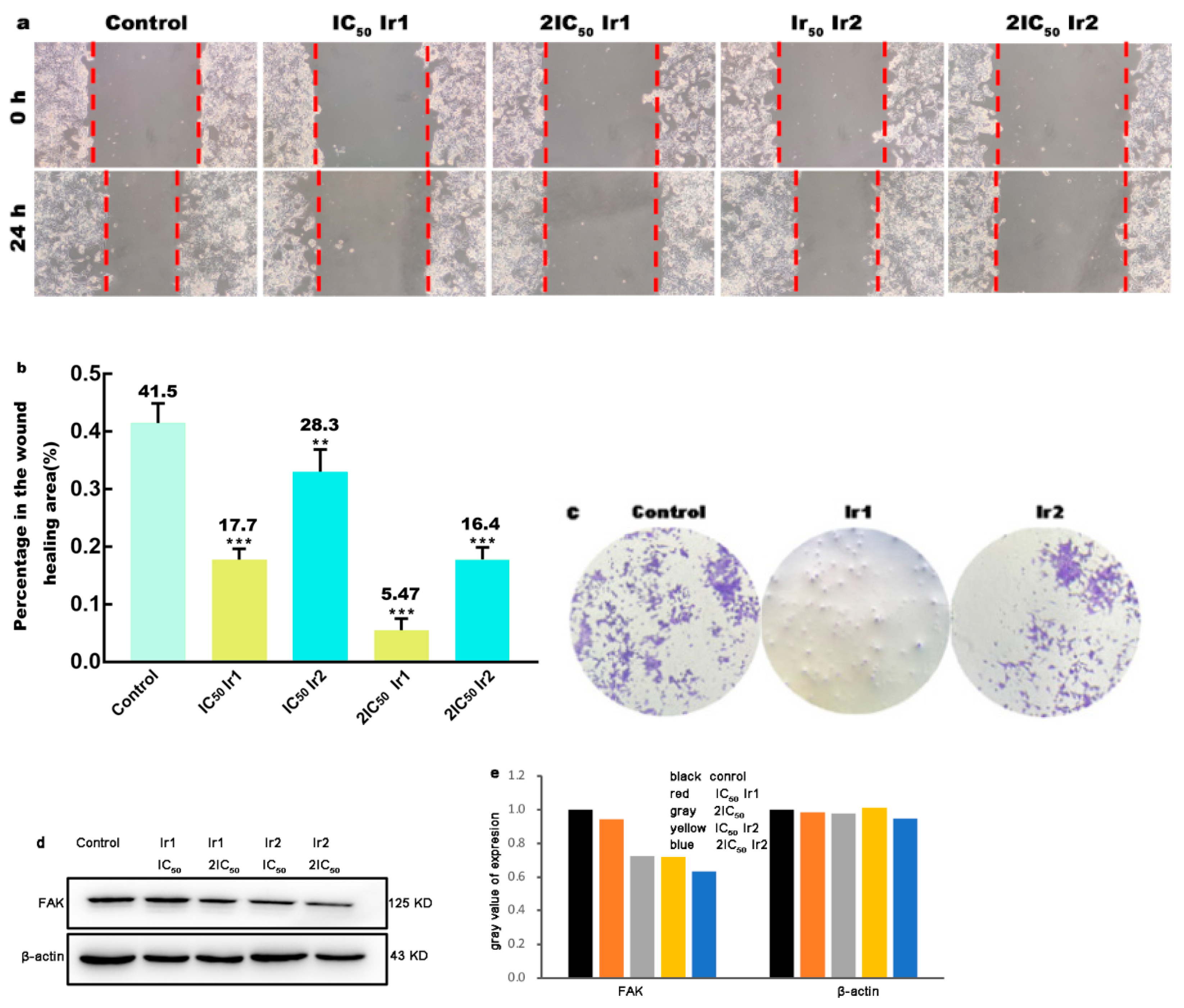 Molecules 27 05434 g005