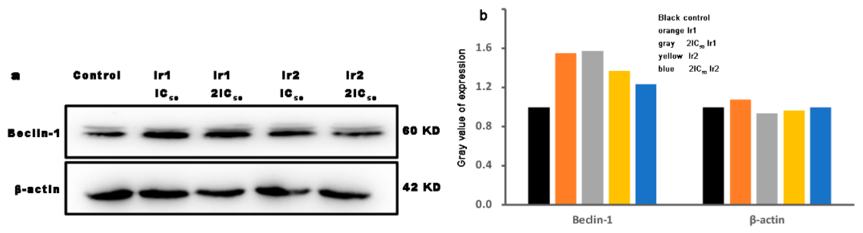 Molecules 27 05434 g012
