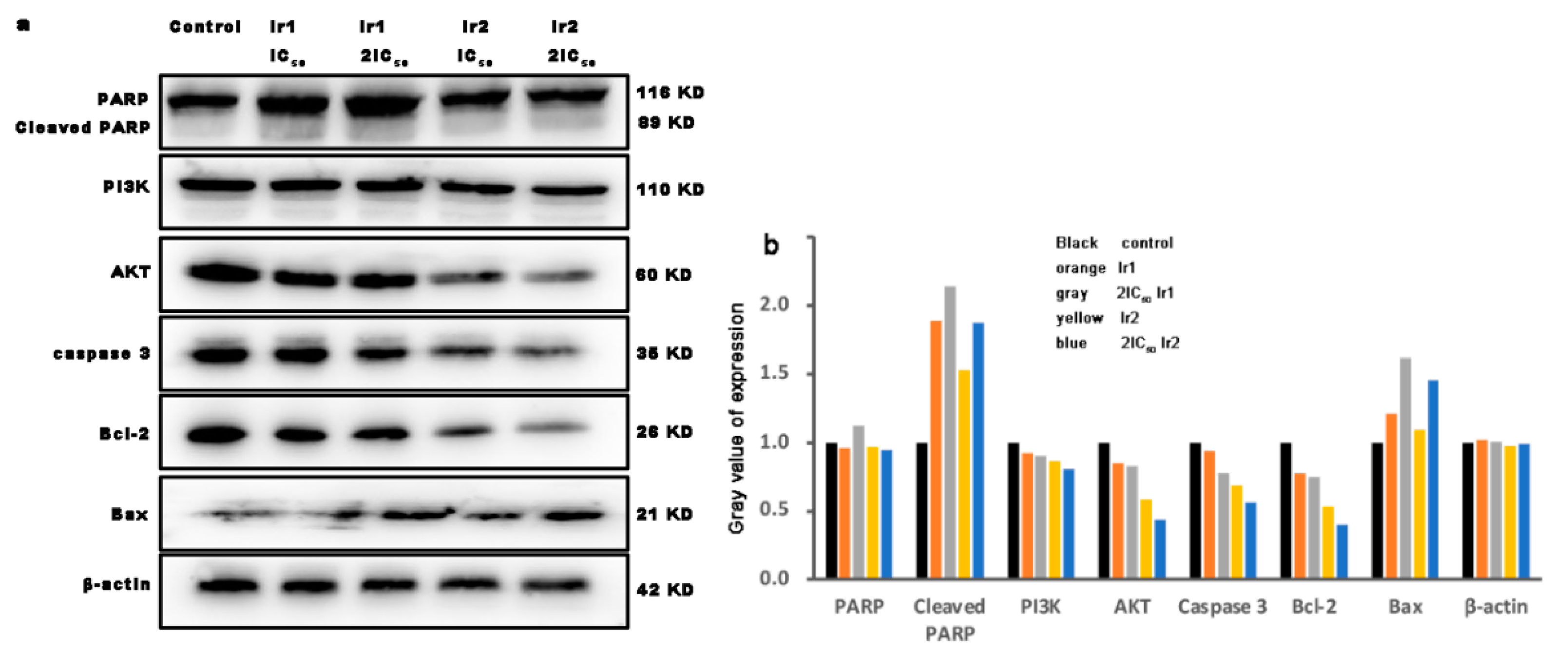 Molecules 27 05434 g013