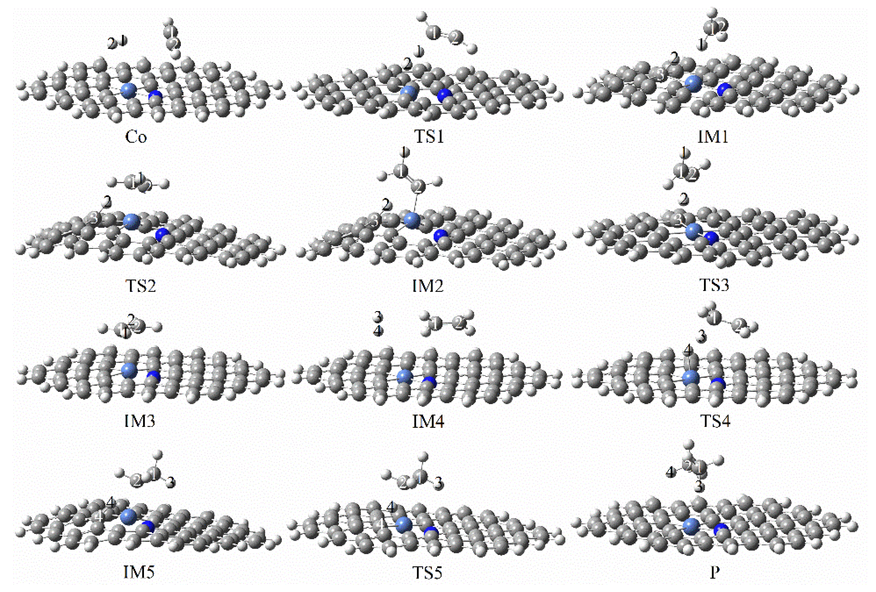 Molecules 27 05437 g005