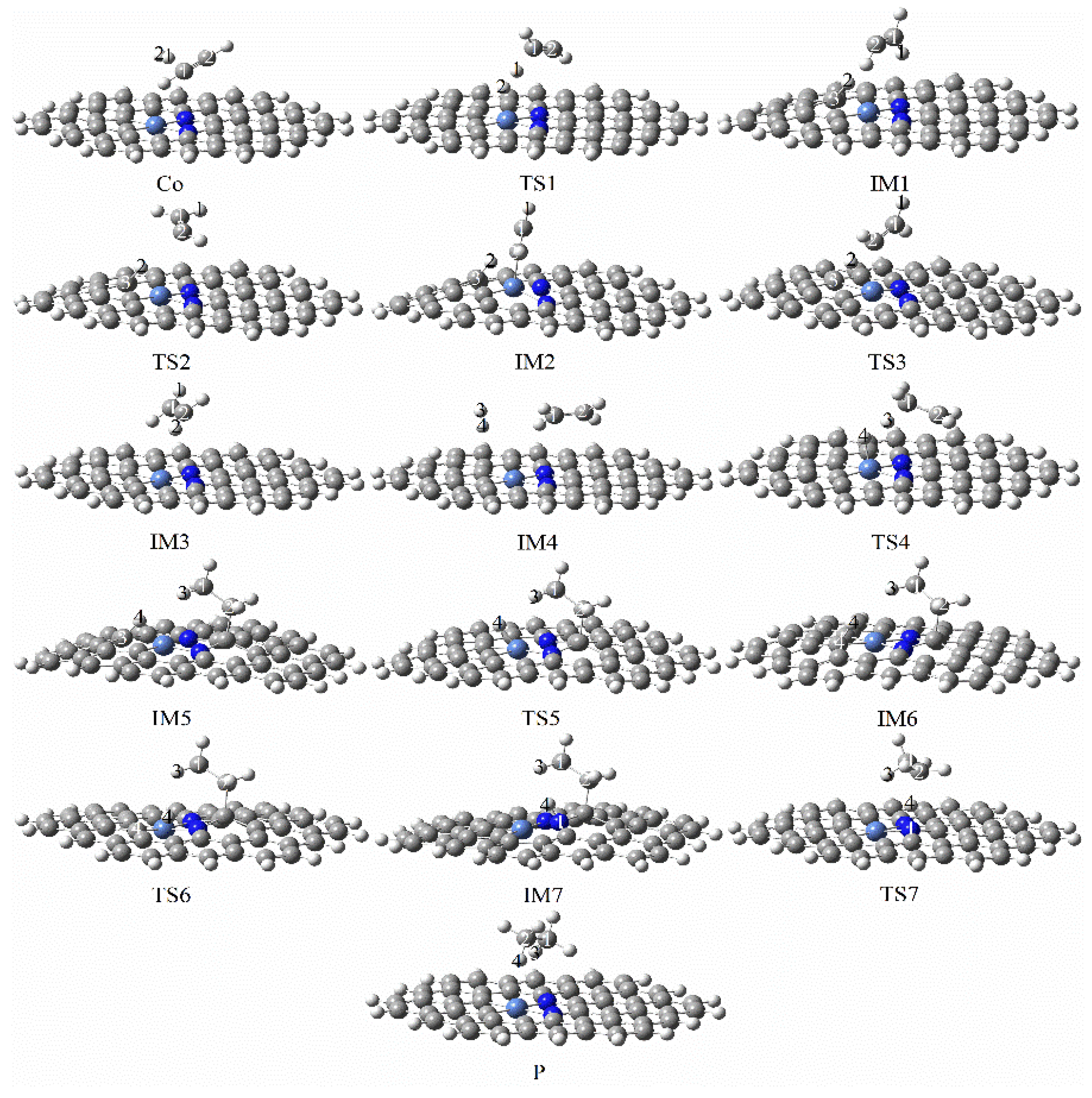 Molecules 27 05437 g007