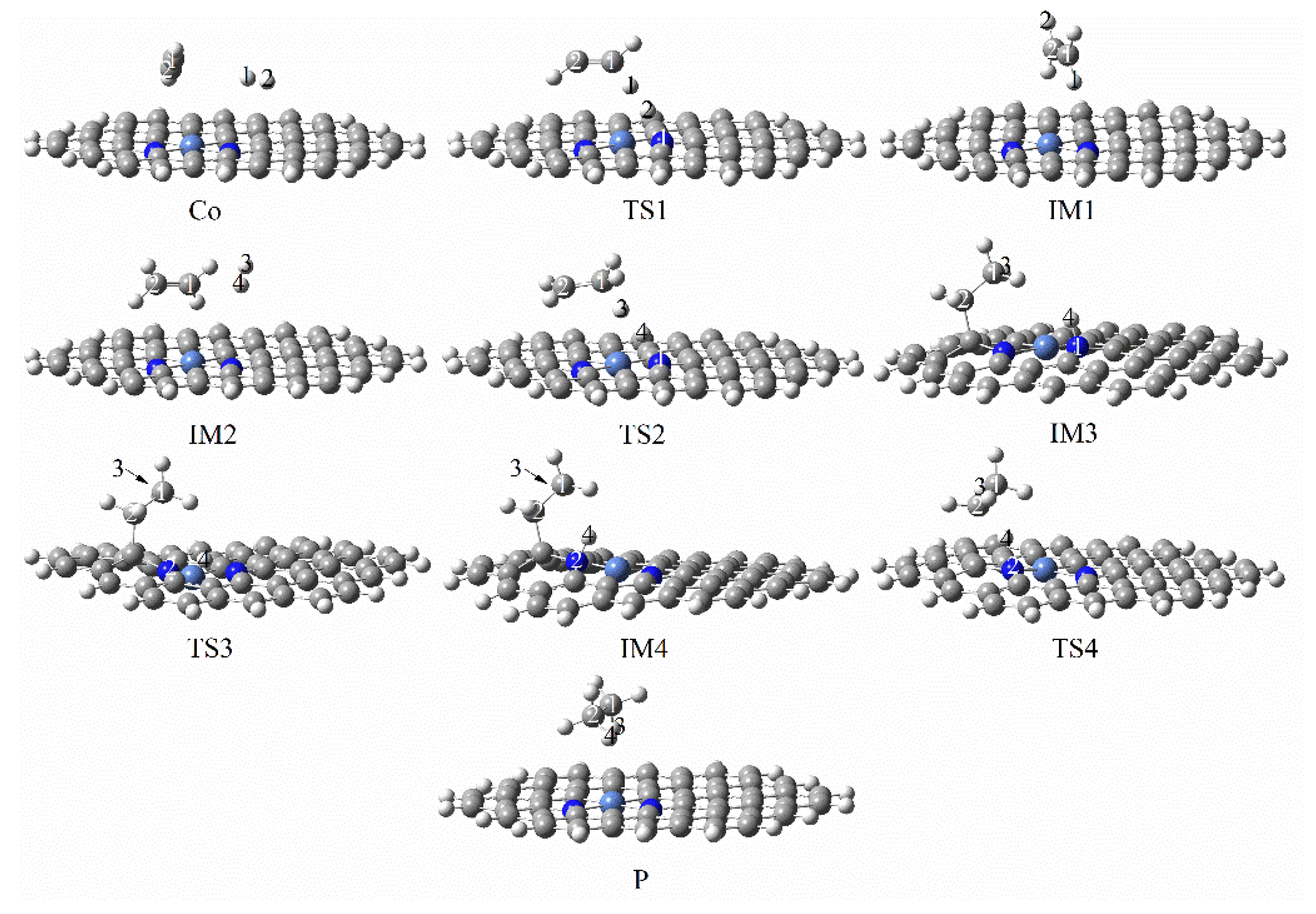 Molecules 27 05437 g011
