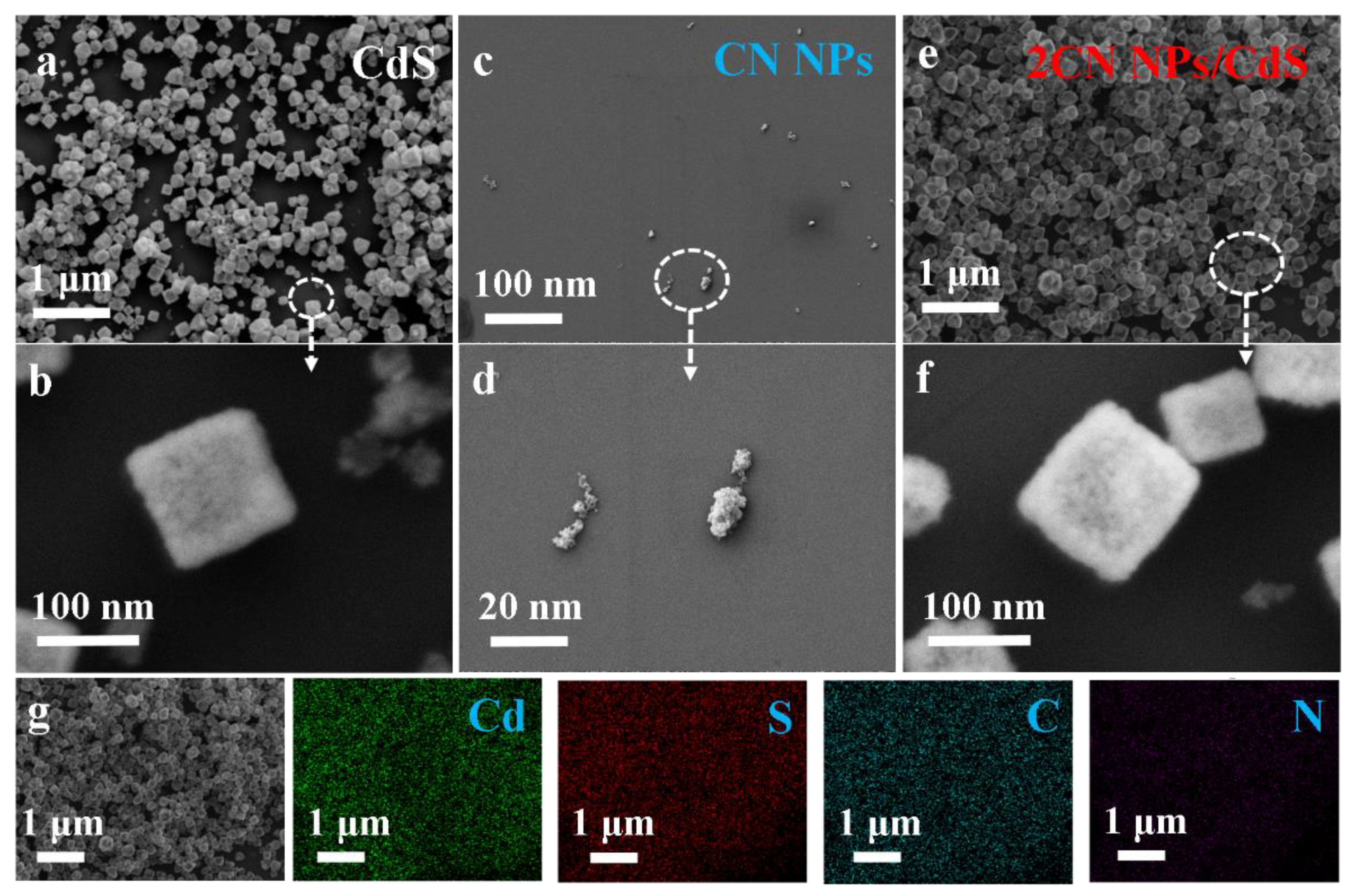 Molecules 27 05438 g003 550
