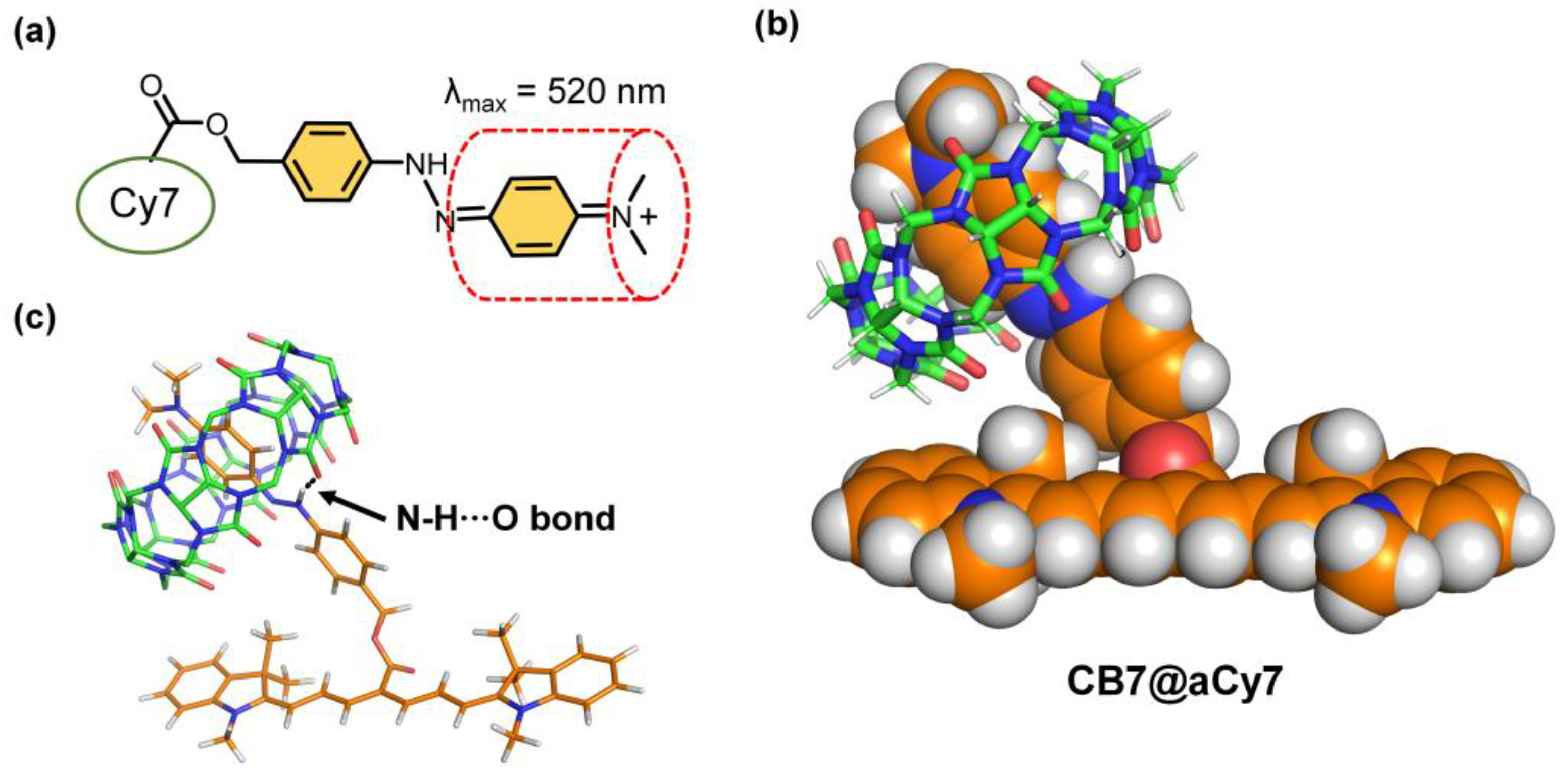 Molecules 27 05440 g005