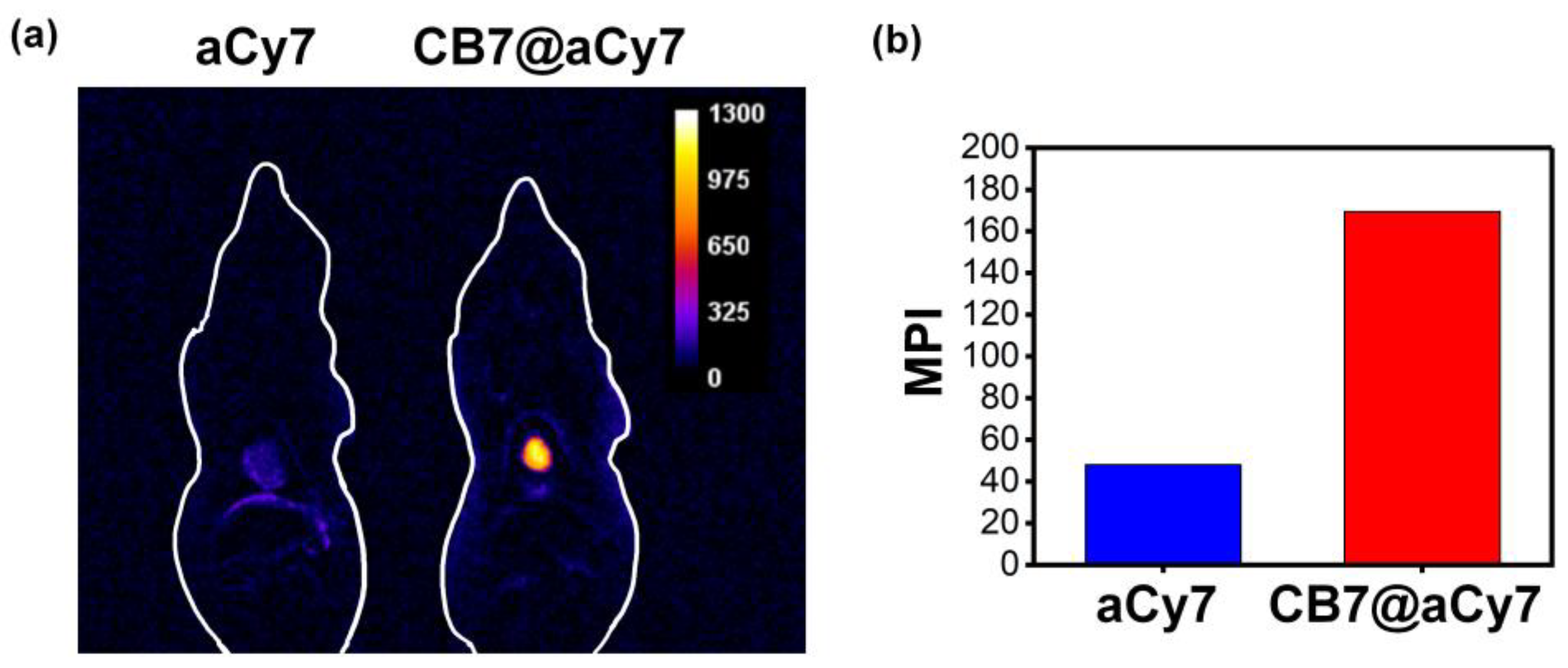 Molecules 27 05440 g006
